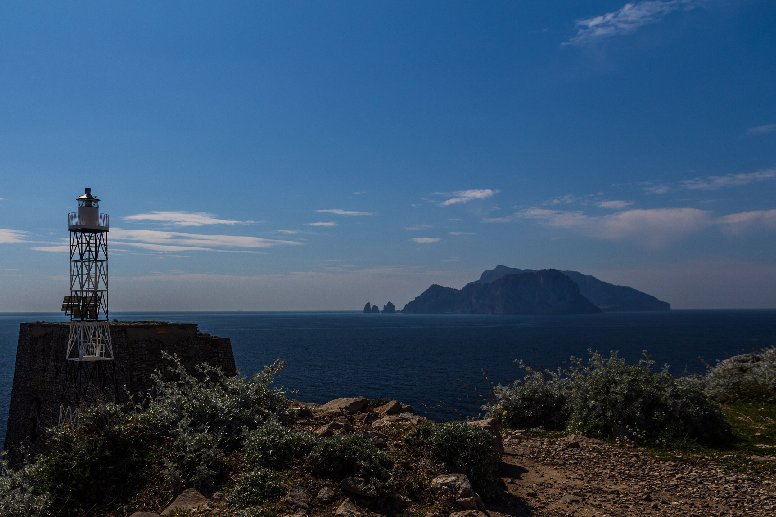 IMG_8287.jpg