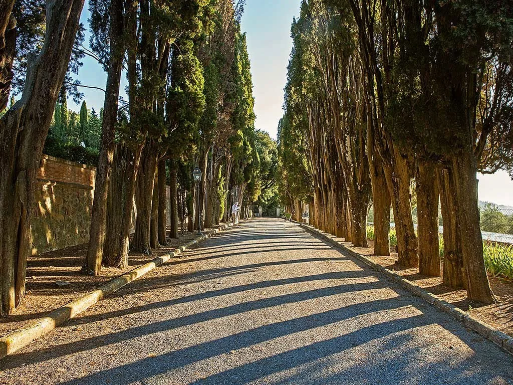 villa Poggiano trees.jpg