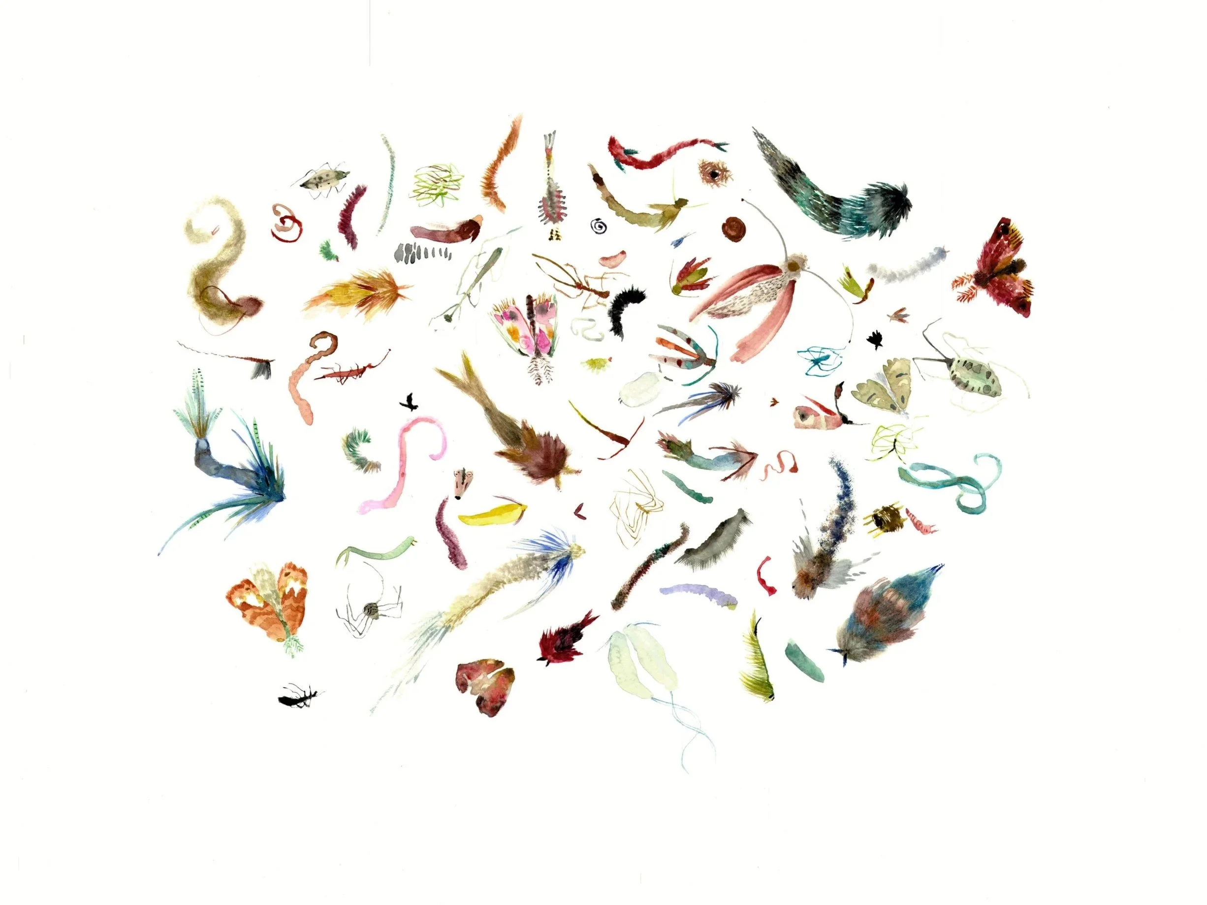 RhhallAqueousTaxonomy1.2026.Watercolor.24x18.pdf.jpg