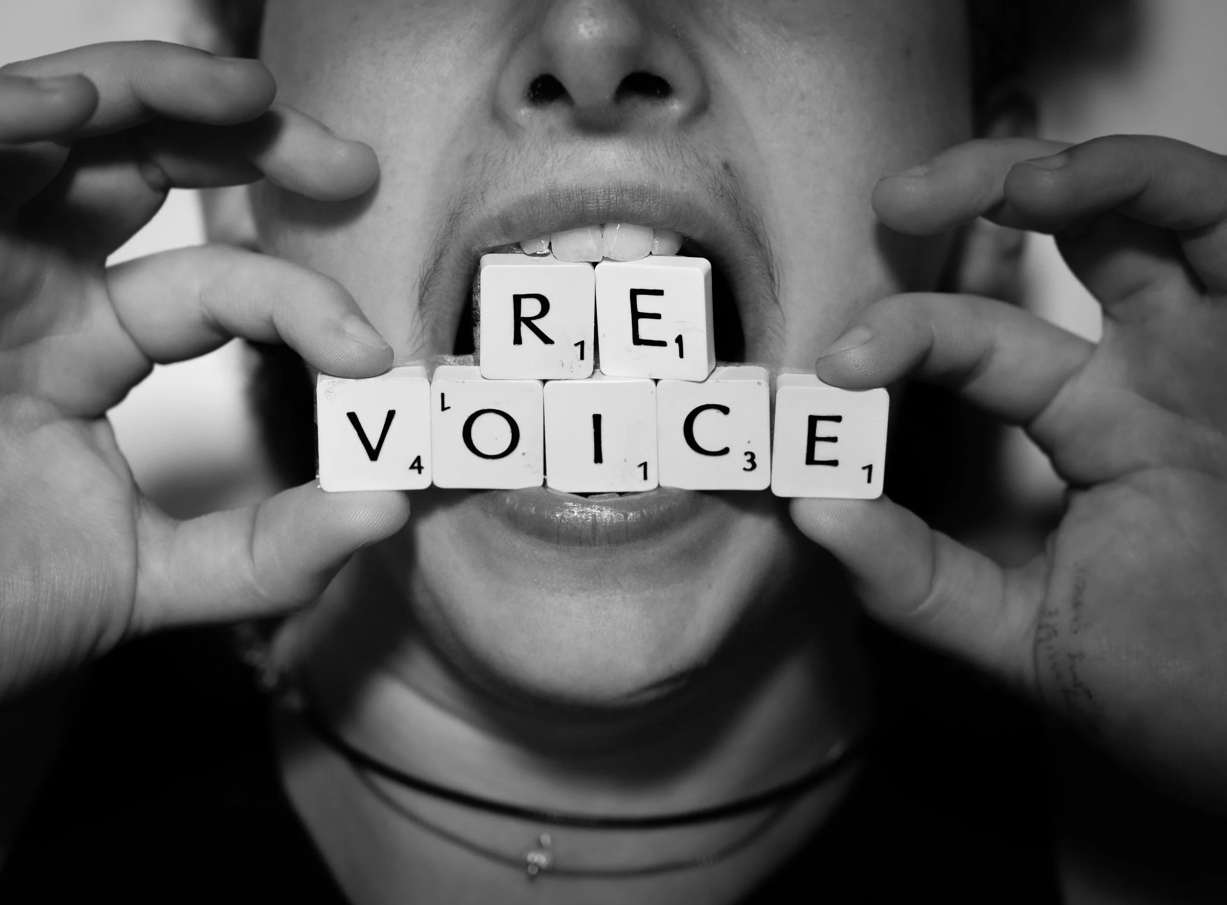 ReVoice ST108061.jpg