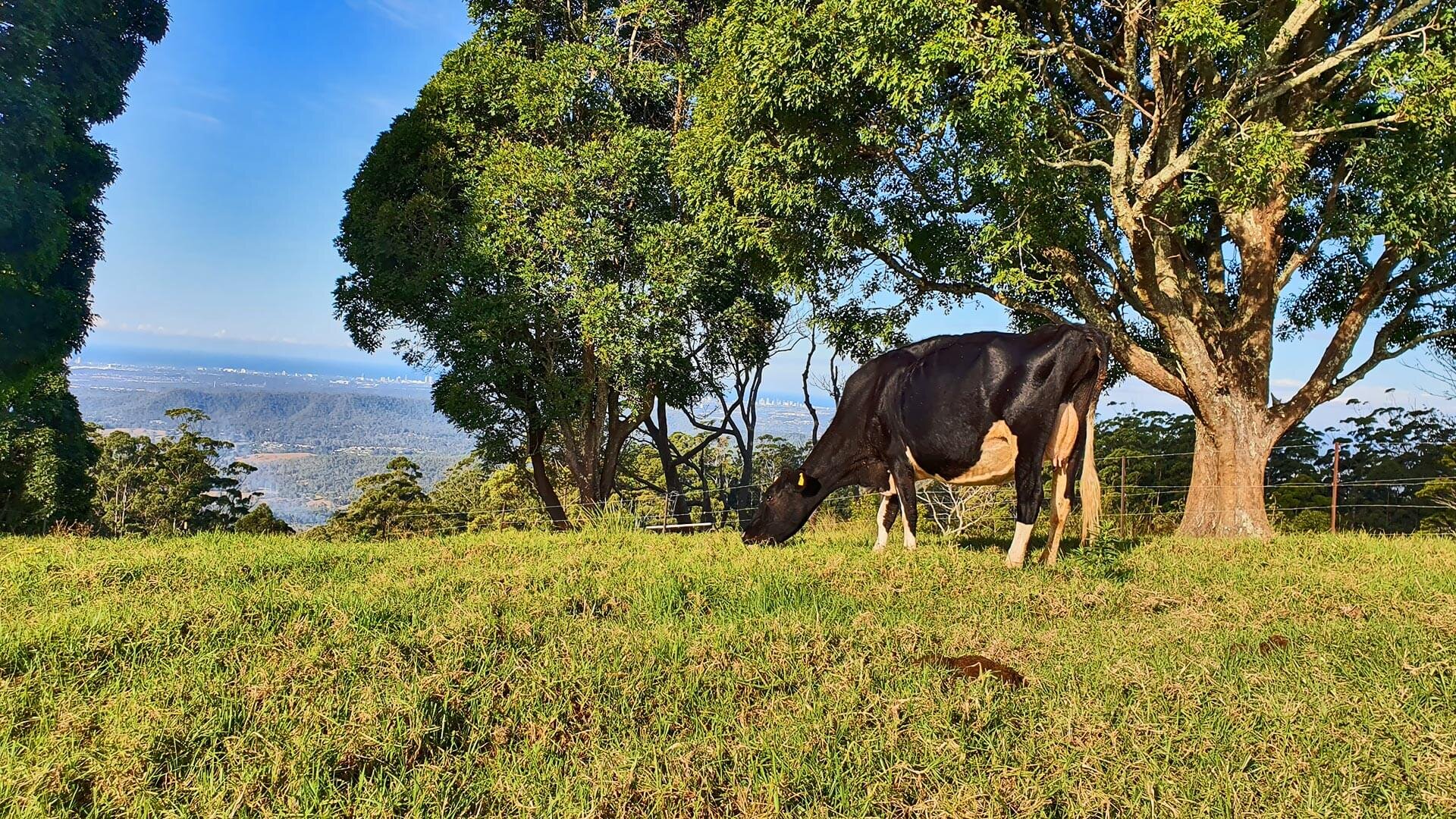 Relax, rejuvenate and unwind at the Seaview Farm Retreat