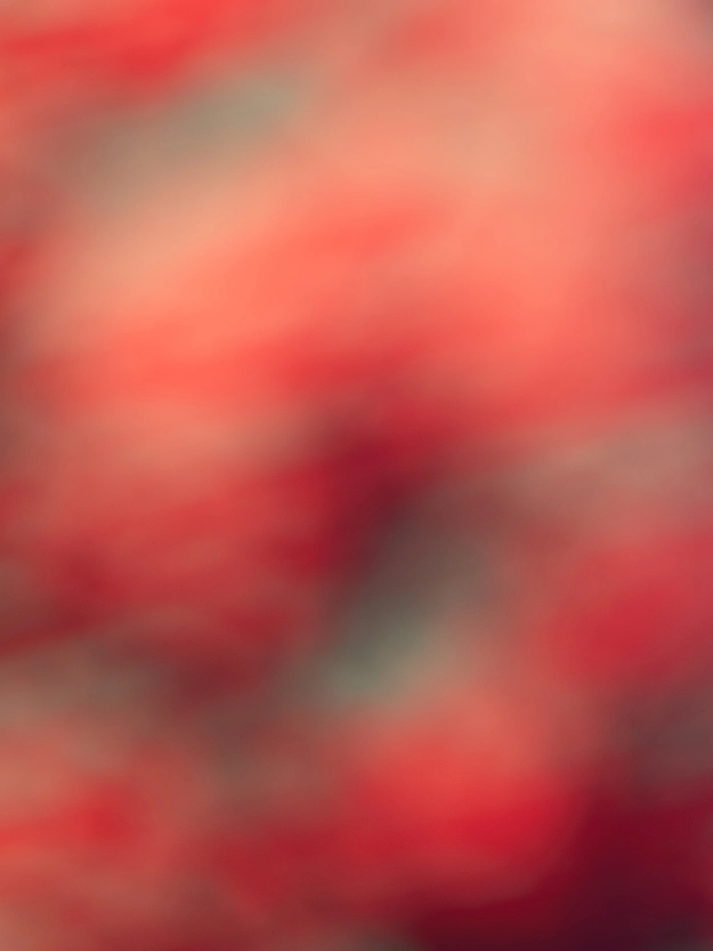 Sensorgraphy Dreams No.1.jpg