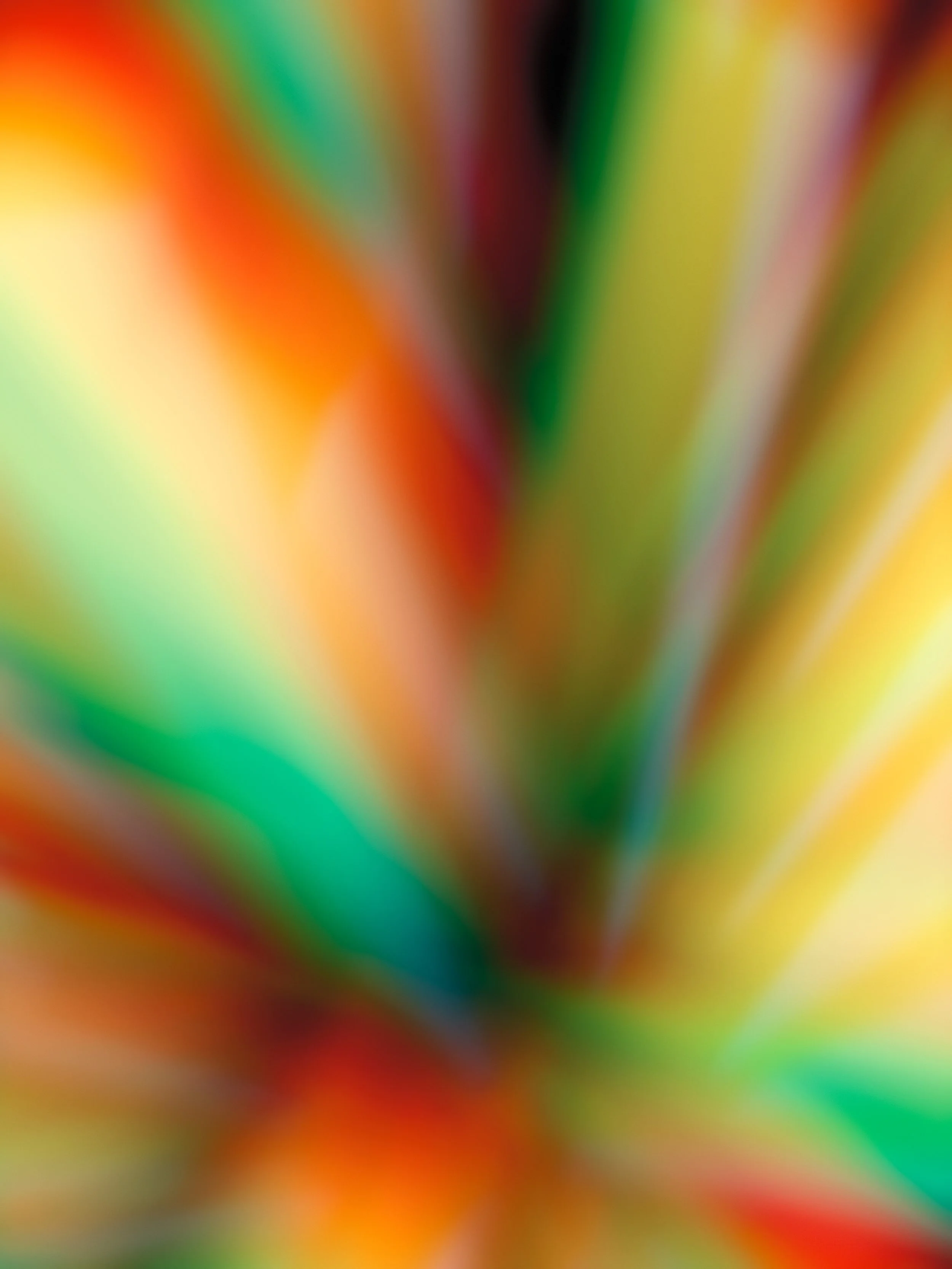 Sensorgraphy Dreams No.6.jpg