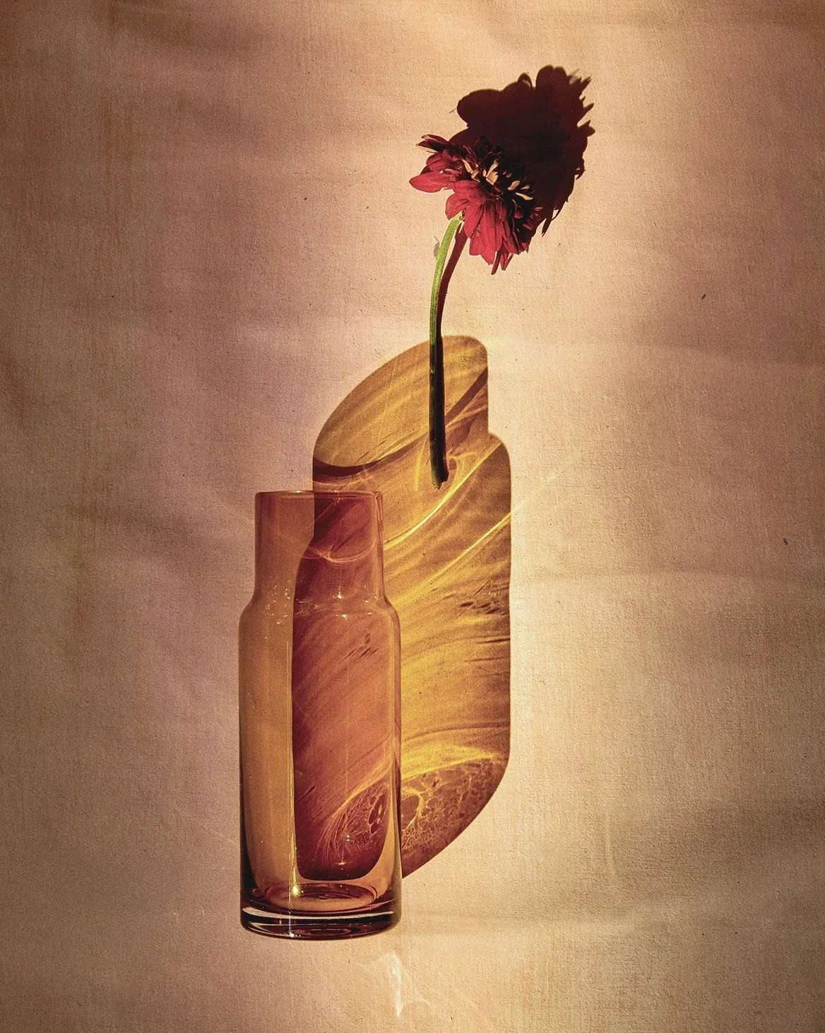 test+color.jpg