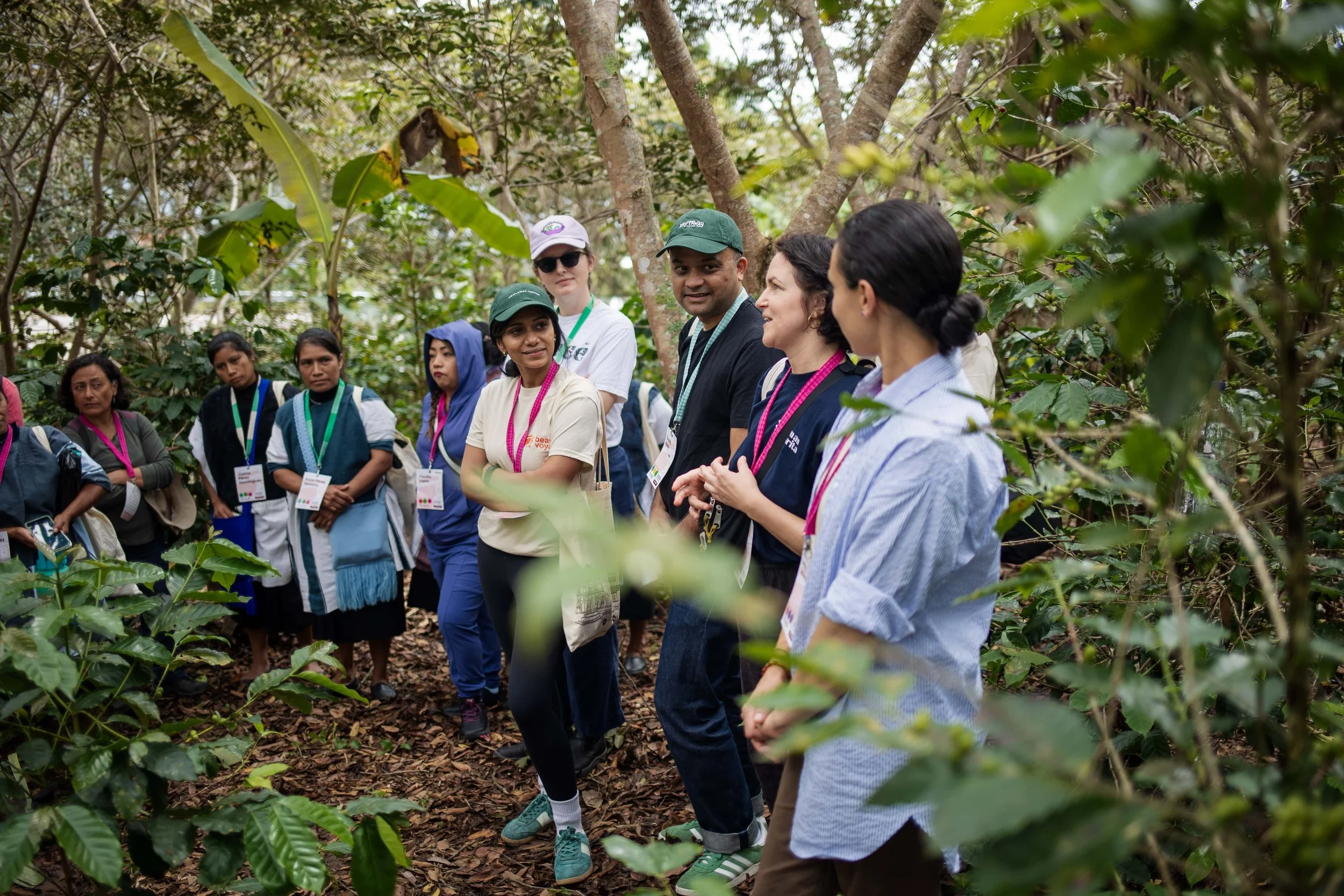 Sol Image from Google Drive (7)-min.JPG