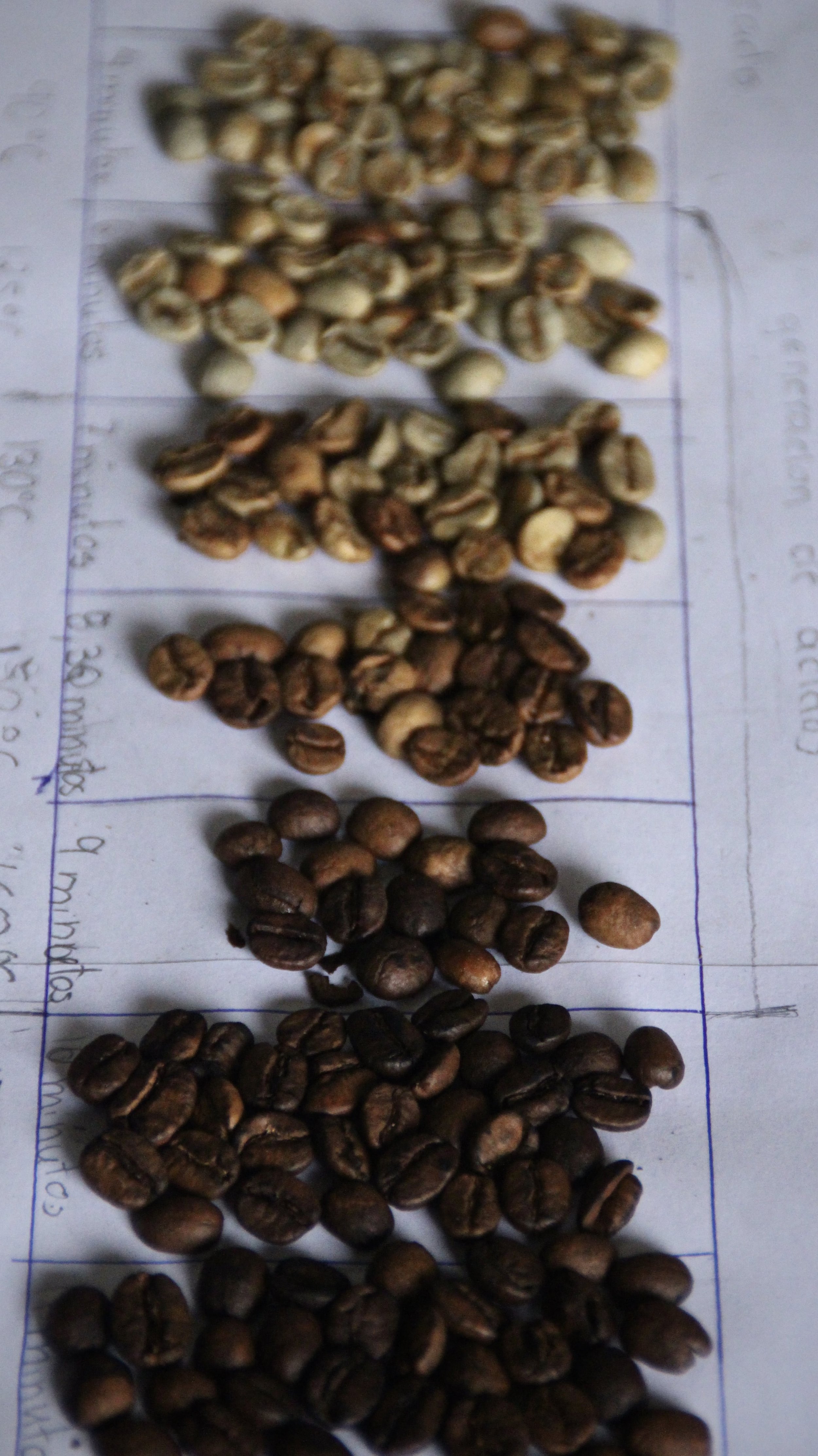 Roasting and Cupping Frailes-min.jpeg