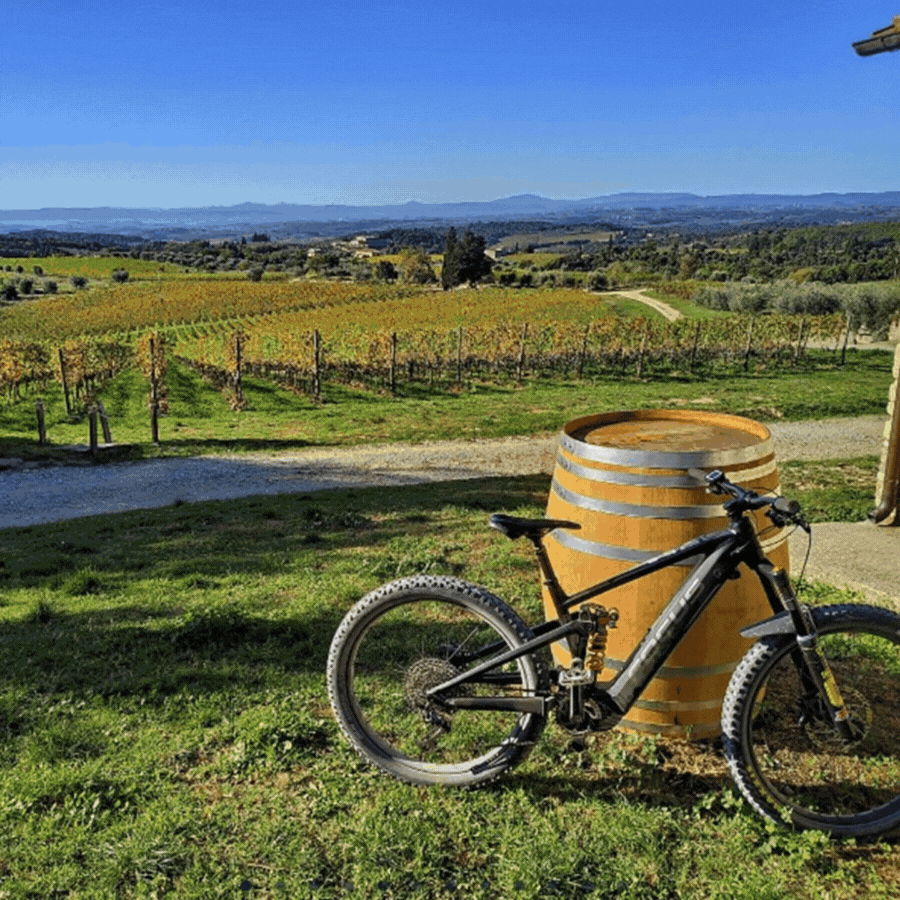 SPEED UP YOUR BUSINESS Ebike con Dell