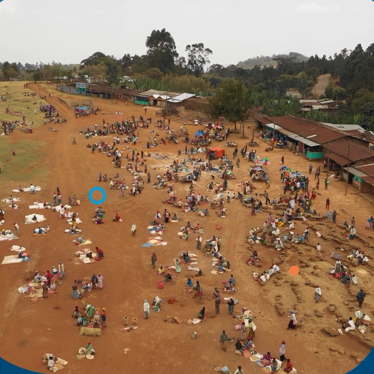 Animated LinkedIn Videos