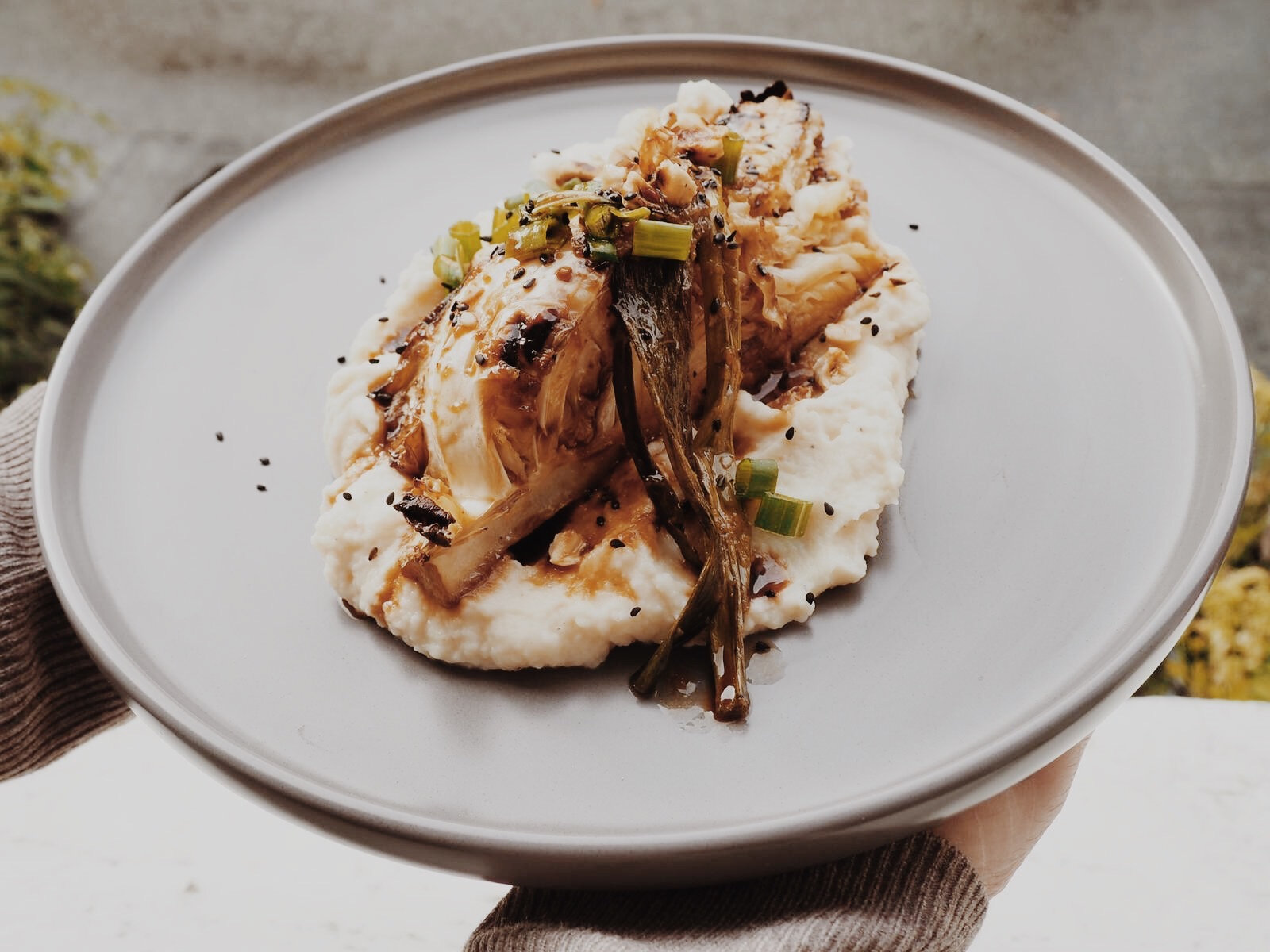 Roasted Hispi Cabbage, Spring Onions & Miso Dressing with a Celeriac