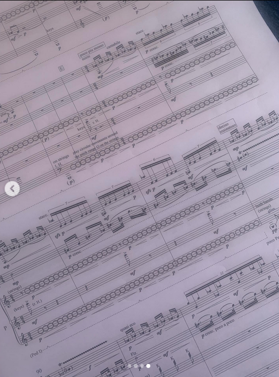 Santoor3.png