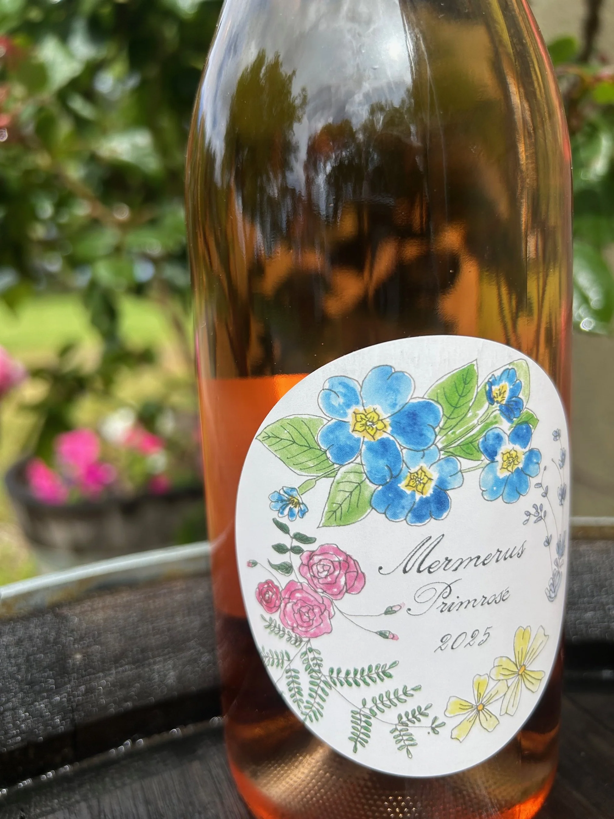 Primrose Rosé 2025