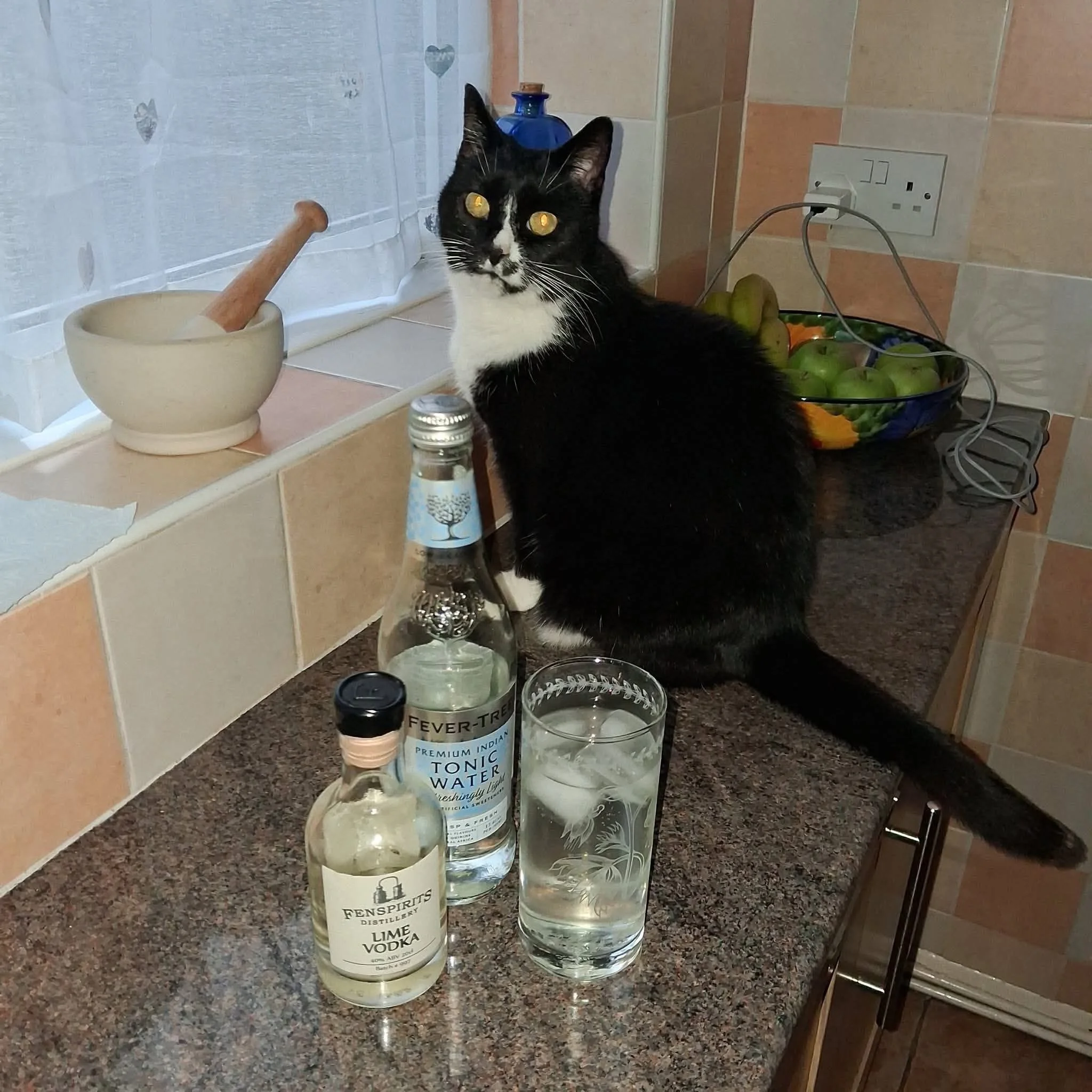 IMG_3132.jpeg