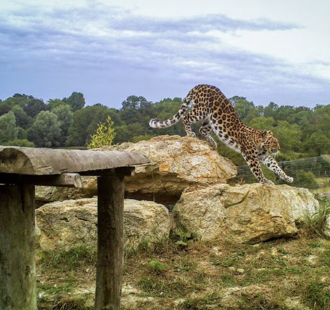 Port Lympne 5.png