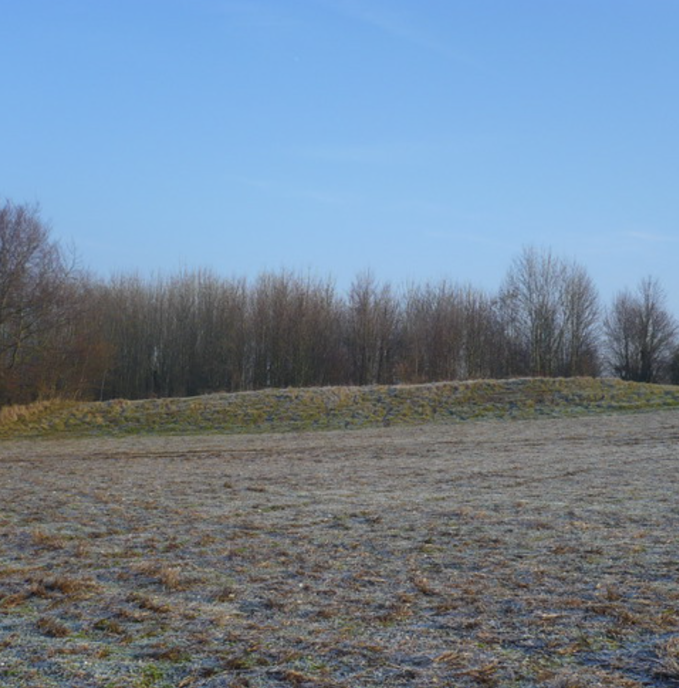 Julliberrie’s Grave 2.png