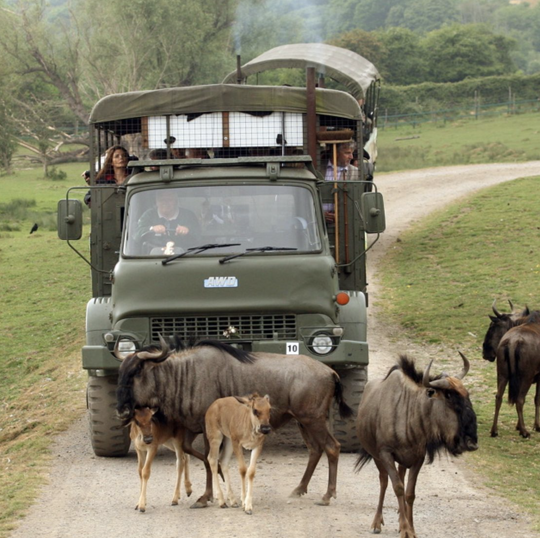 Port Lympne 3.png
