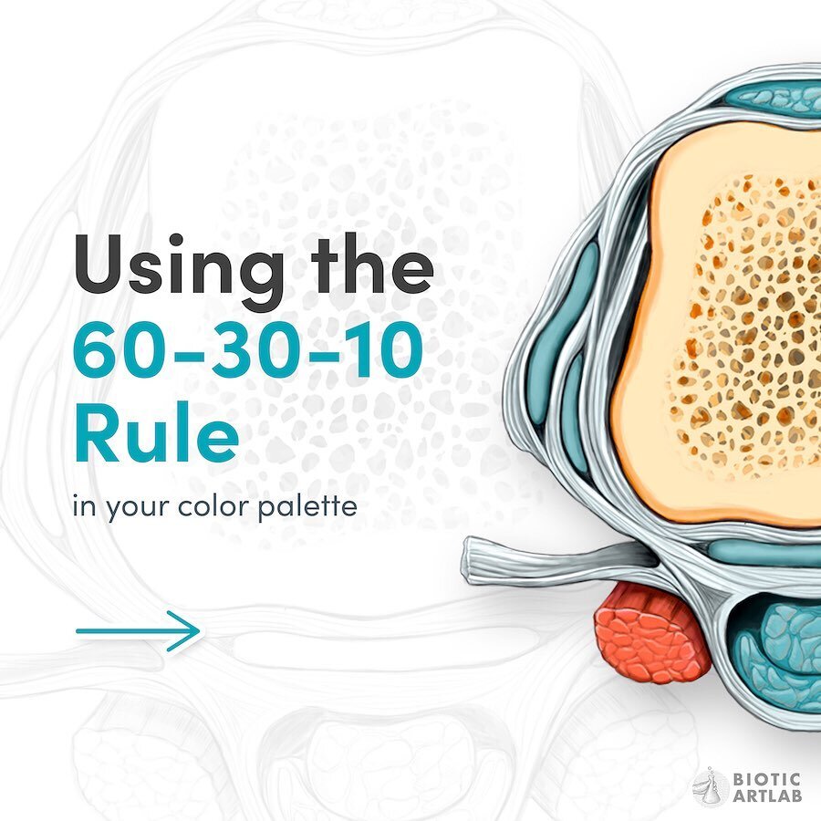 Design principles can come pretty handy when it comes to helping focusing attention in your medical illustration. Oftentimes color choice/distribution can come intuitively. However the 60-30-10 rule can act as a guideline to organizing your colors an