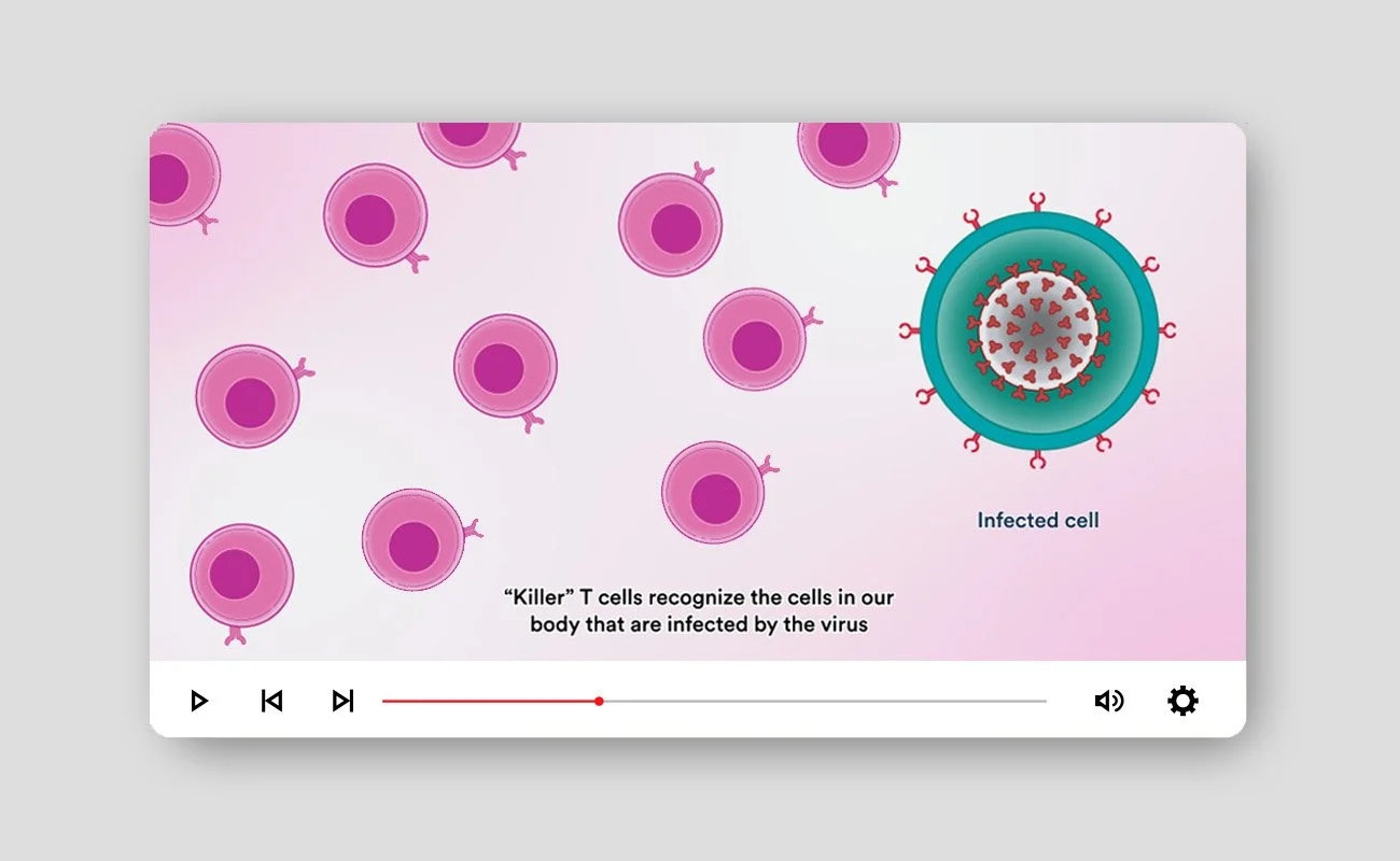 T Cells & COVID-19 • Animation