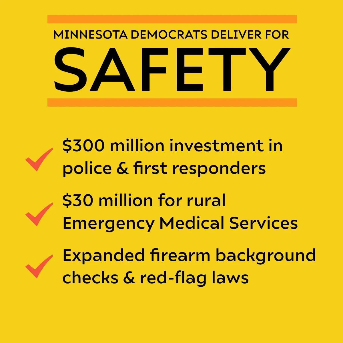 MN Dems for _____-11-Safety.jpeg