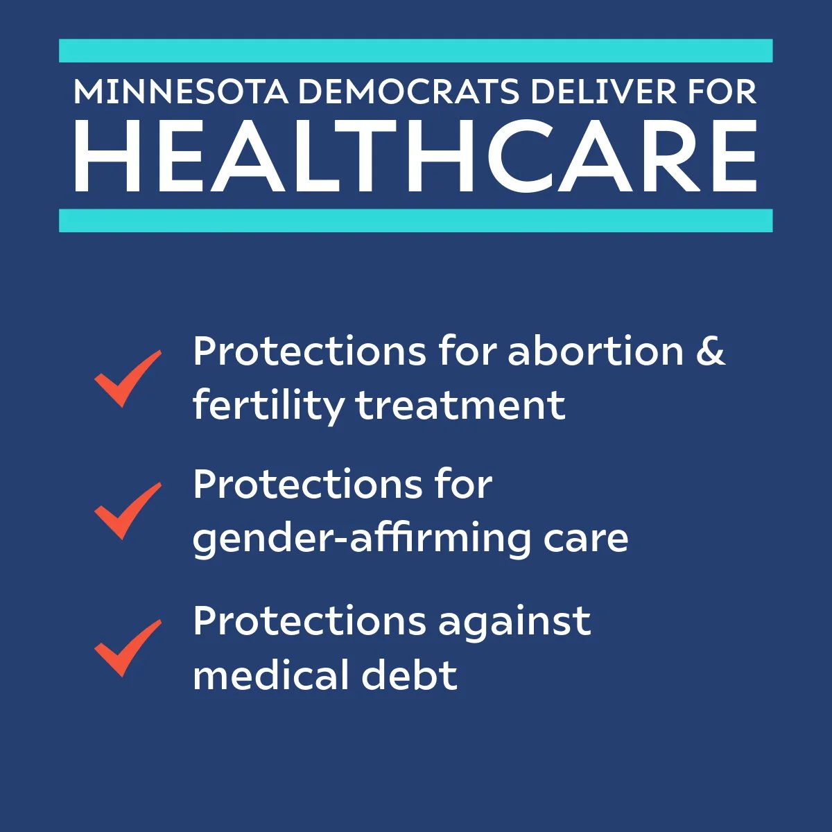 MN Dems for _____-13-Healthcare.jpeg