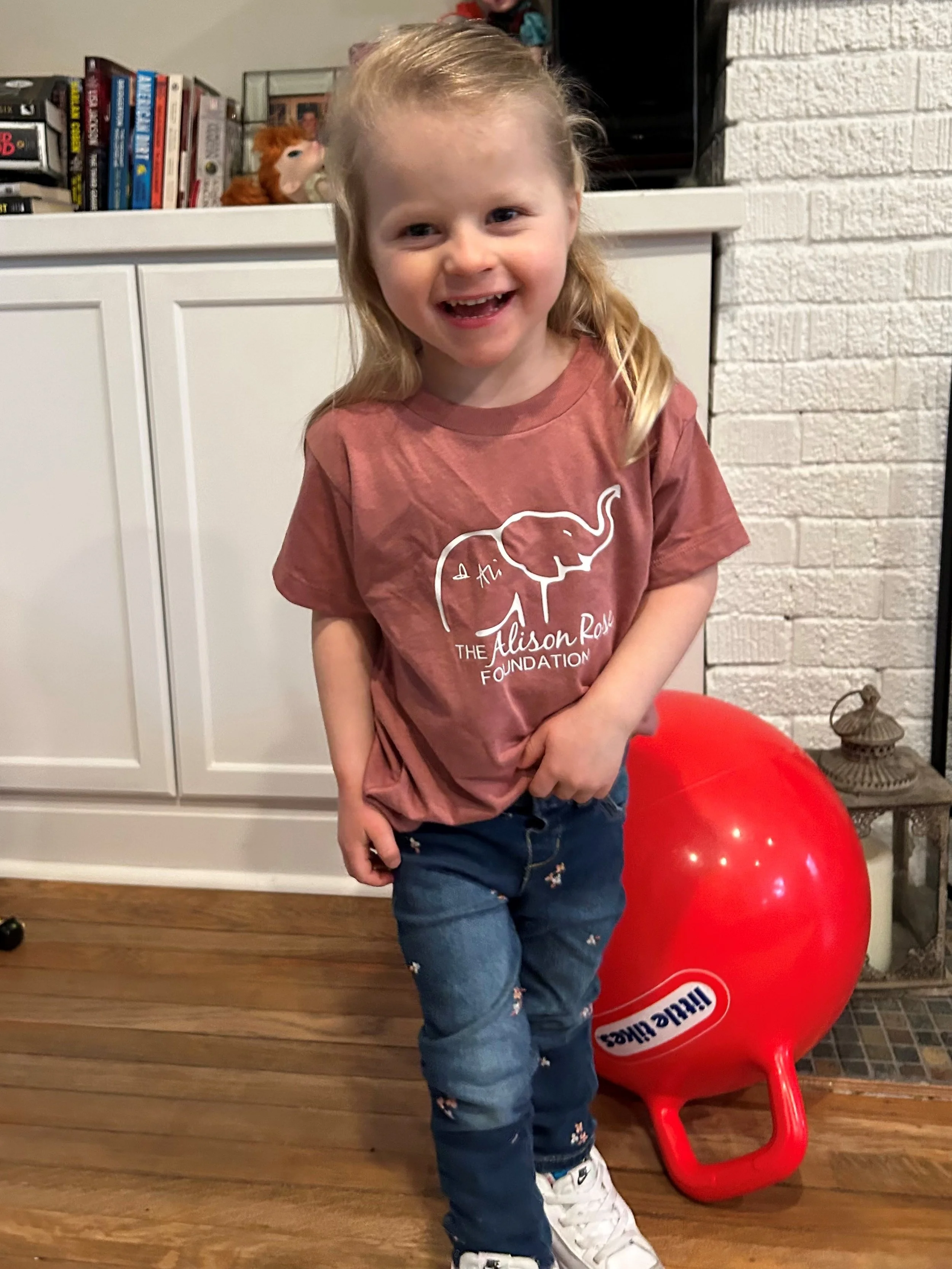 The Alison Rose Foundation