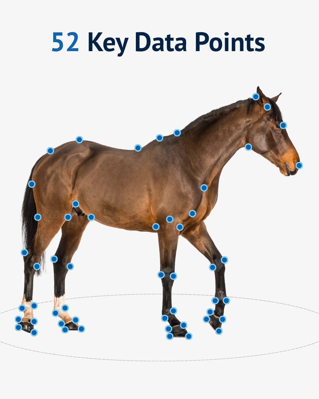 TrojanTrack_MovementAnalysis_Health_Marketing_EQuerry.png