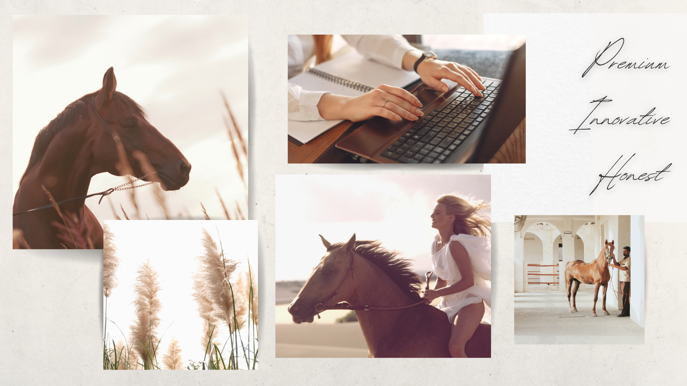 How to Select Perfect Stock Photos for Your Brand / — EQUERRY / CO