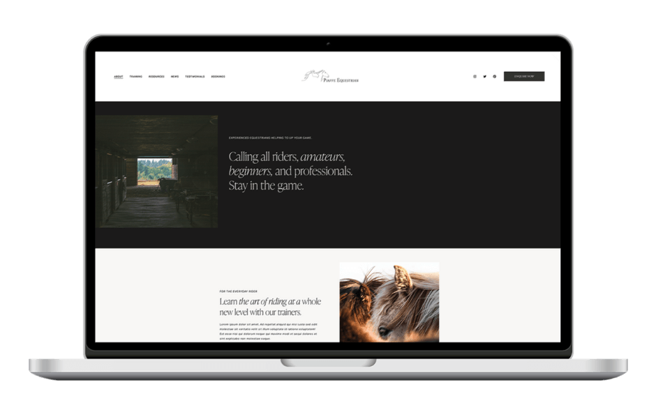 horse-website-designer.png