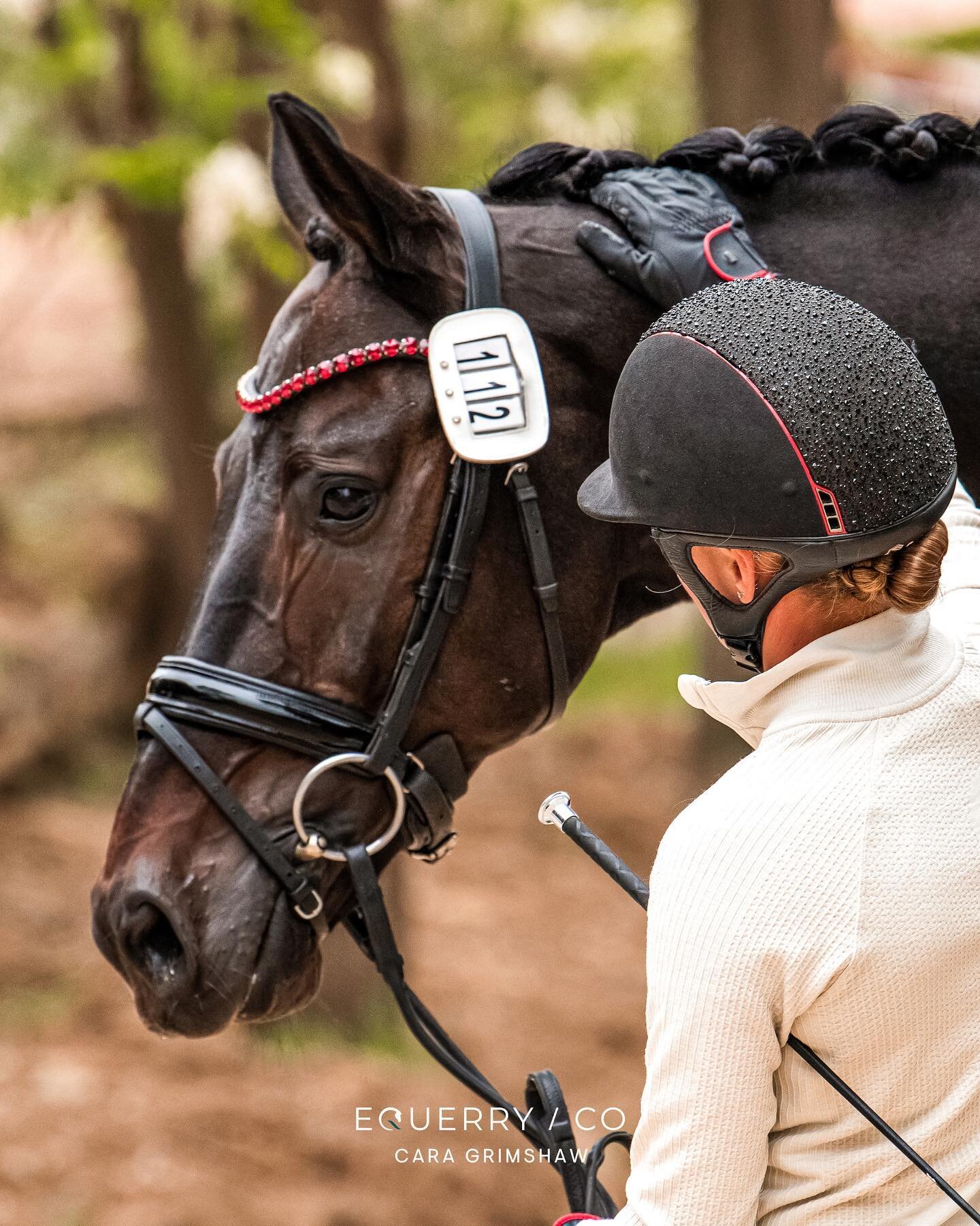 From Canada 🇨🇦 to Chile 🇨🇱

We've touched down in Santiago for the 2023 Pan American Games!

This weekend saw polished coats and plaited manes ready for inspections, and the start of team and individual dressage qualifiers.

We'll be settled here