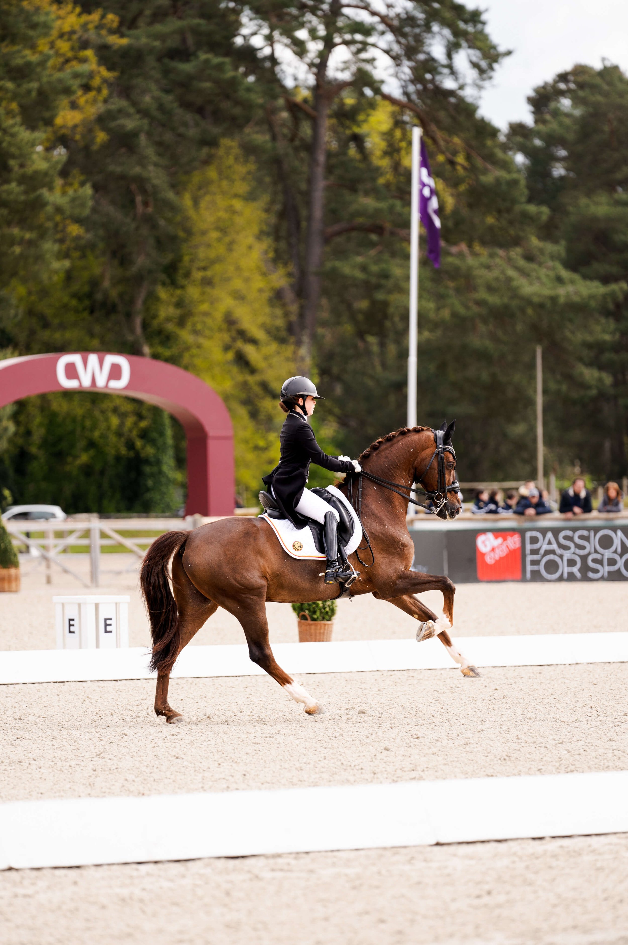 equerry-dressage-event-coverage.jpeg