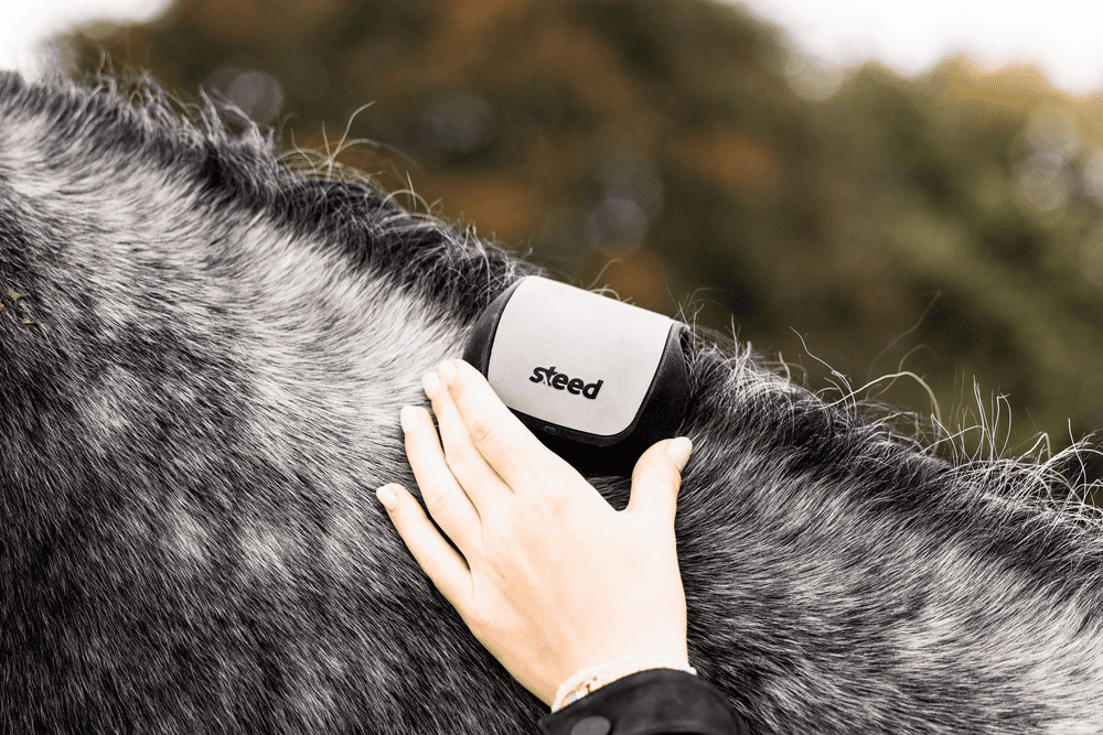 Steed Patch Steed EMS — EQUERRY / CO