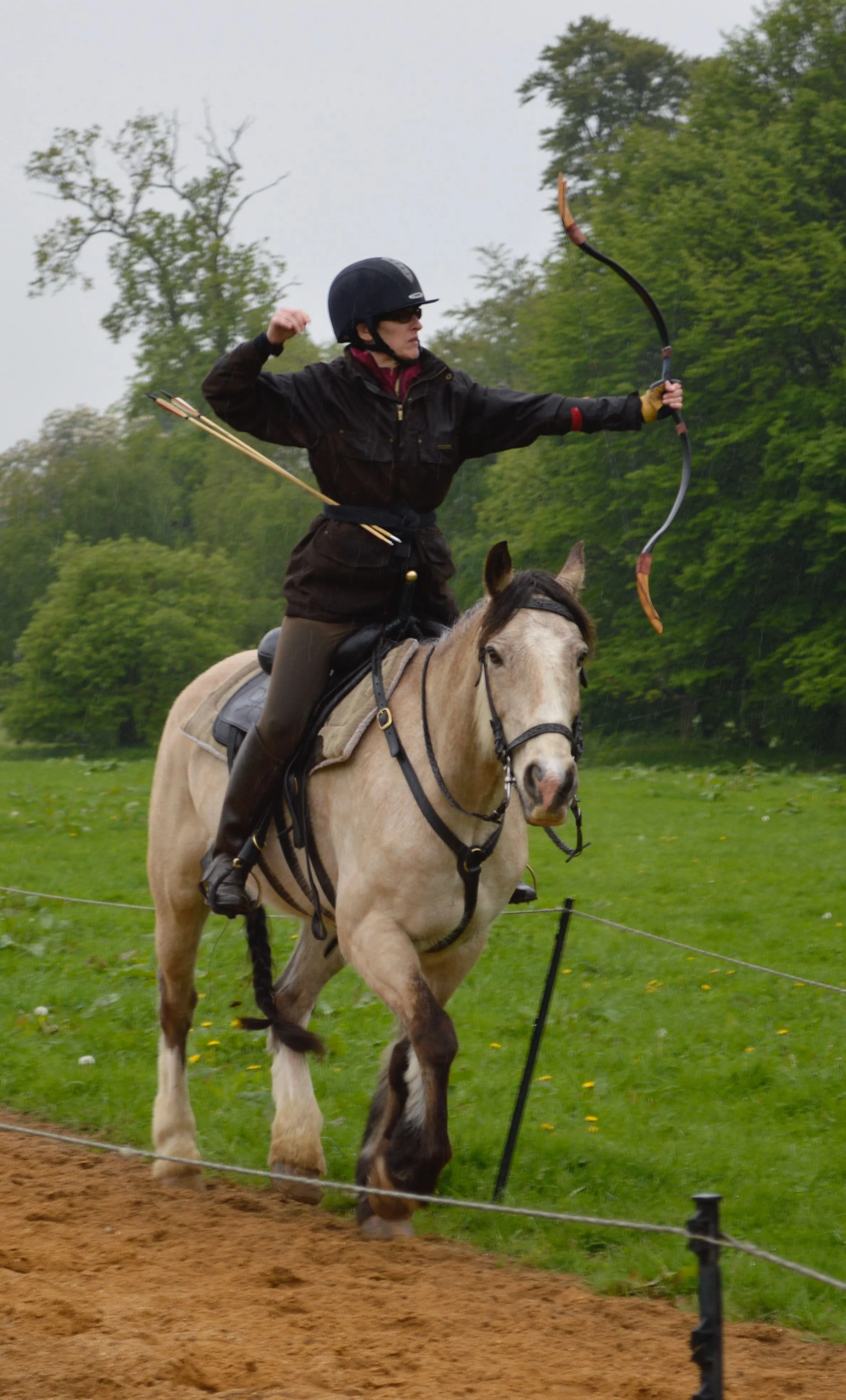 samarcheryhorse.jpeg
