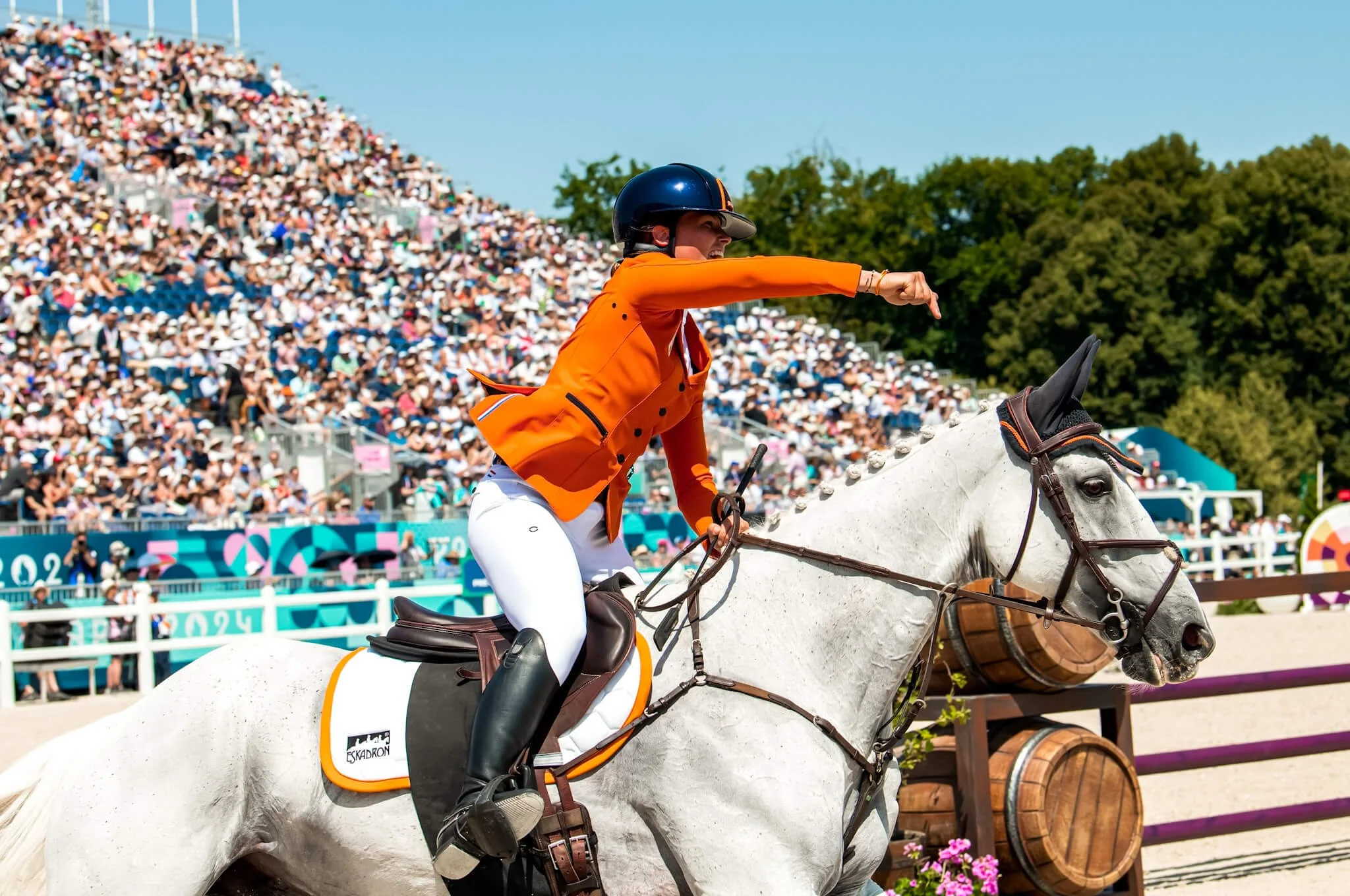 horse-sports-olympics-equerry.jpeg