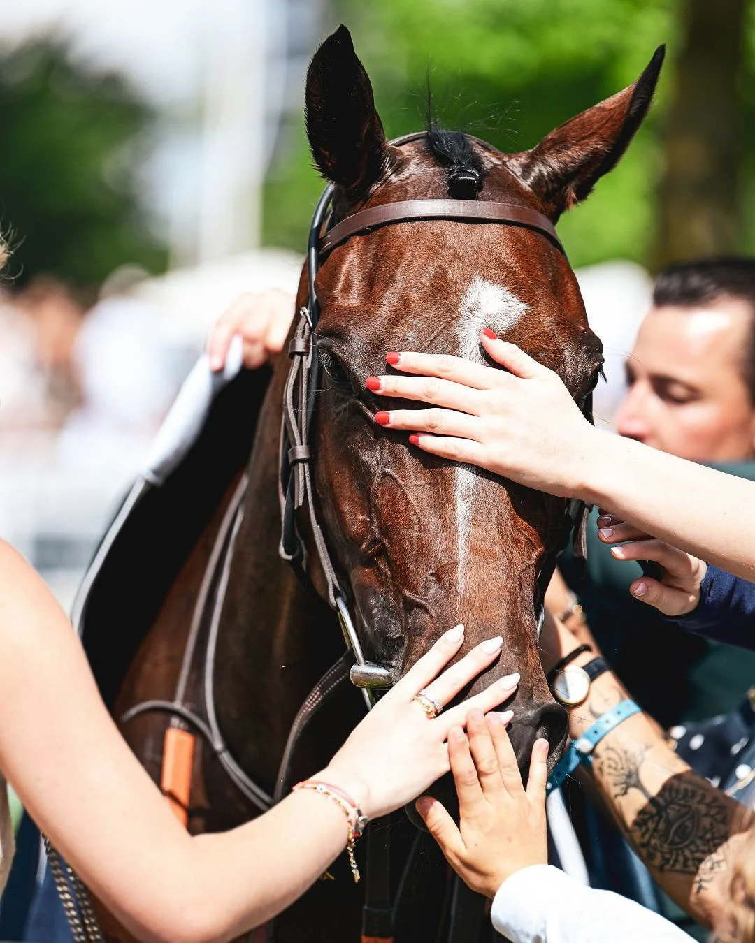 Some of our favourite moments from the summer season caught on 📸