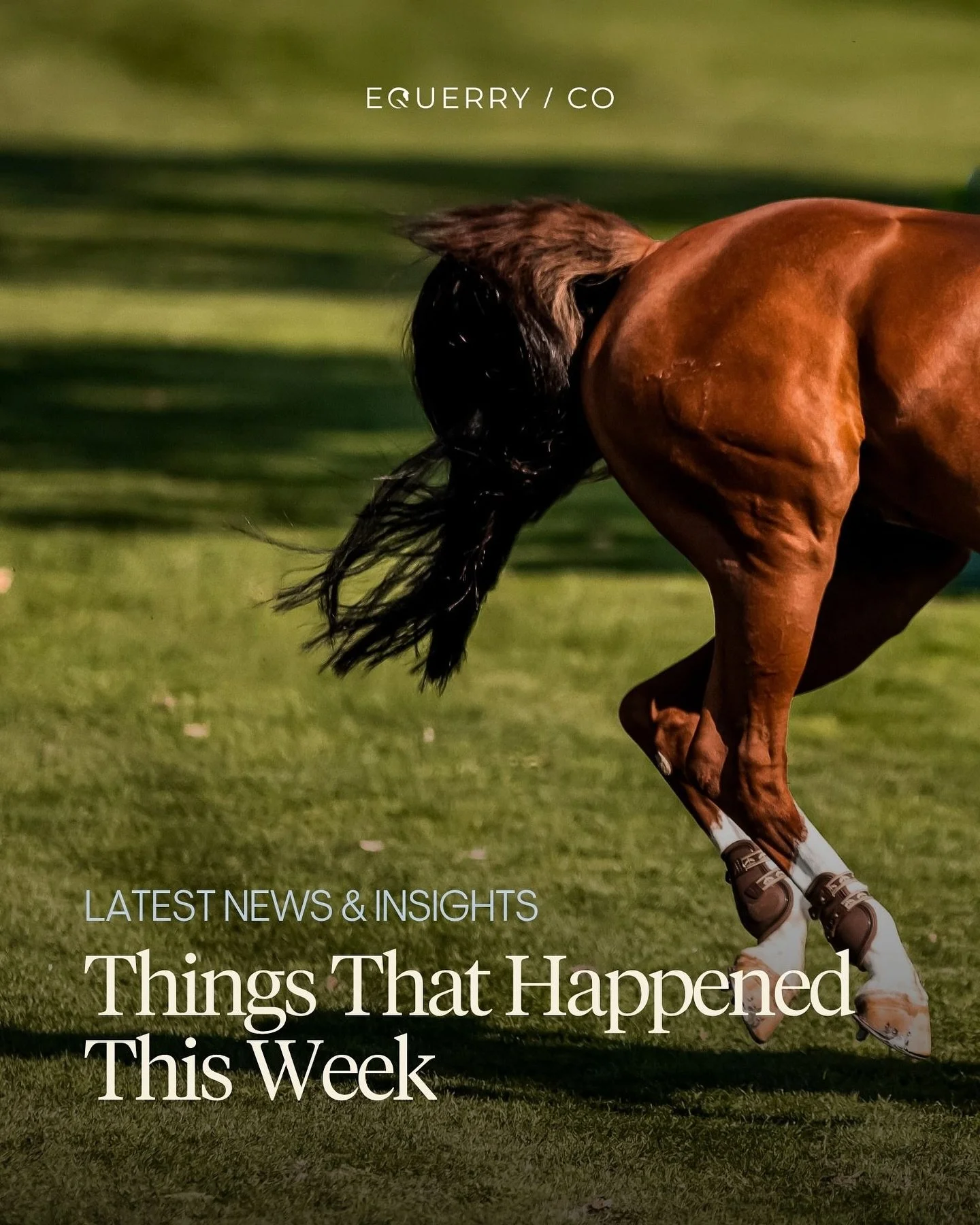 Things that happened this week:

🏇 Olympic planning intensifies, with Alan Wade appointed as LA28 Jumping Course Designer. 

🧸 LeMieux partners with Disney to launch a new hobby-horse collection.

🏅 Germany have been crowned FEI Eventing Nations C