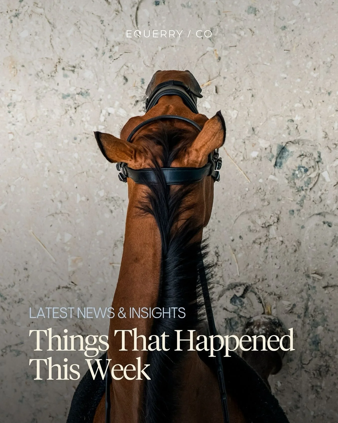 Things that happened this week:

🏆 19-year-old Anastasia Nielsen made history as the youngest ever LGCT Grand Prix winner.

💼 The FEI held a forum about tack and equipment, discussing upcoming rule changes.

🏎️ Lewis Hamilton tried horse riding fo