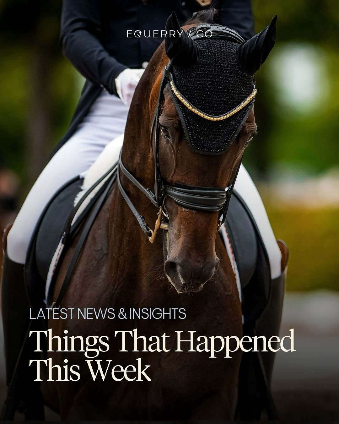 Things that happened this week:

🎥 The Wild Beauty Foundation has launched its &lsquo;Lost Horses&rsquo; campaign, featuring Jessica Springsteen.

🔬 US Equestrian is funding two new research projects to advance equine welfare and performance.

✨ Sa