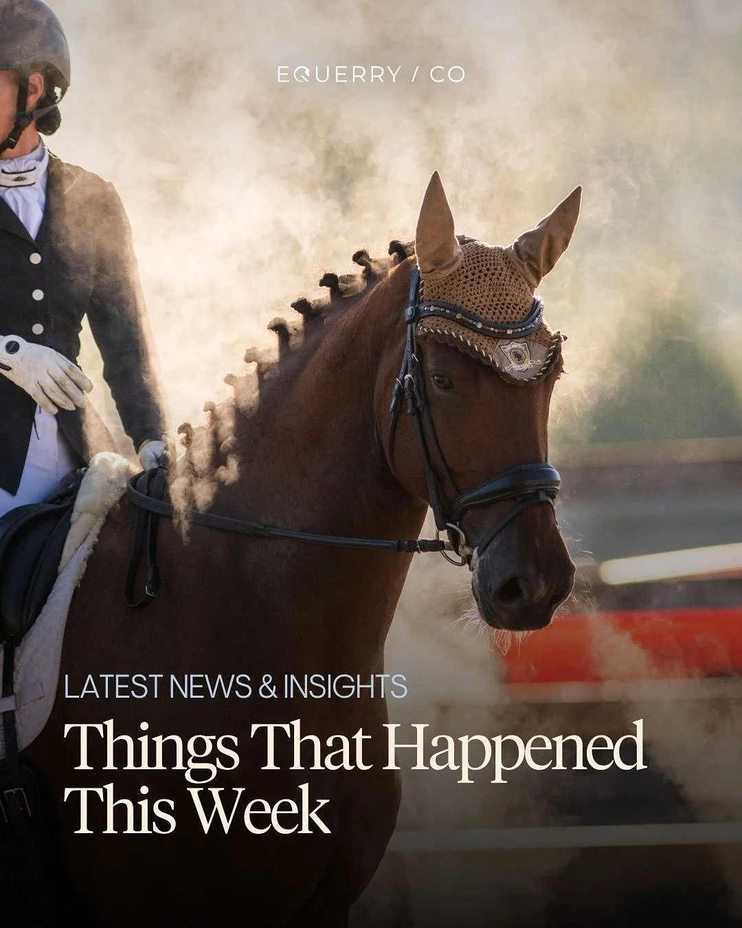 Things that happened this week:

📅 The official timetable for the equestrian events at the LA28 Olympics has been announced.

🏅 There are calls for Olympic horses to earn medals alongside their riders.

🏇 Aamilah Aswat makes history as the first b