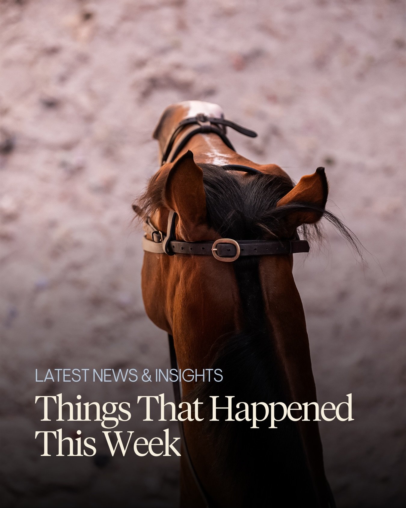 Things that happened this week:

🐴 Charlotte Dujardin is set to return to LIHS 

🙏 Explosion W&rsquo;s retirement was announced 

🏇 British Eventing&rsquo;s AEC series continues to promote sport accessibility 

🏆 McLain Ward wins the LA World Cup