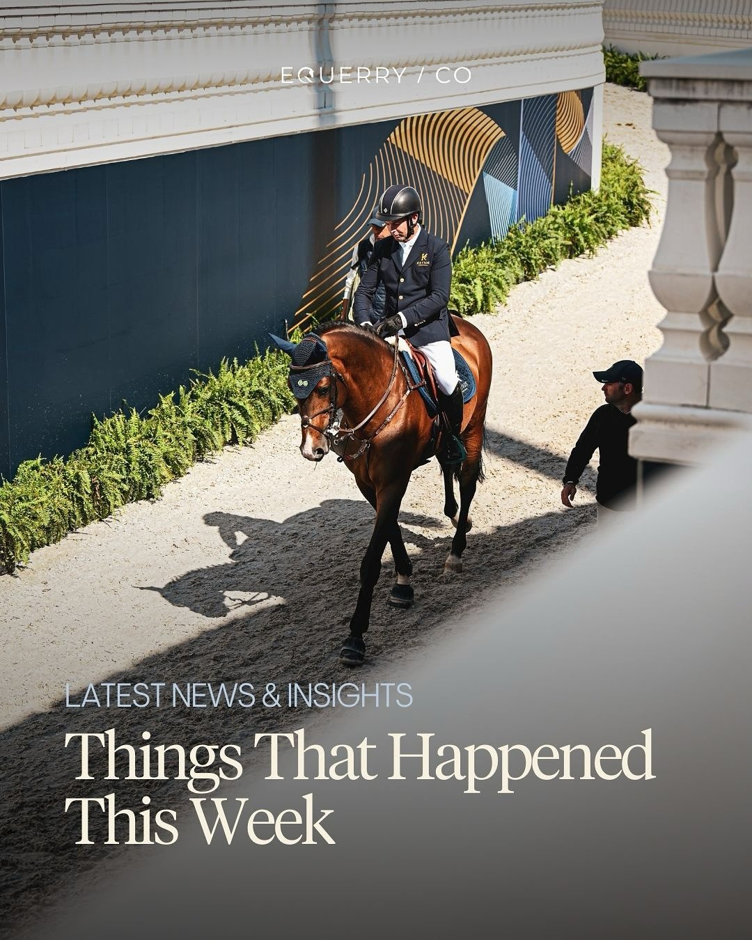 Things that happened this week:

💬 Jessica von Bredow-Werndl receives support after addressing online negativity. 

🐎 Dior, a 7YO showjumper sells for &euro;1 million at the Holger Hetzel Auction.

⚖️ A show steward is cleared after a rider attempt