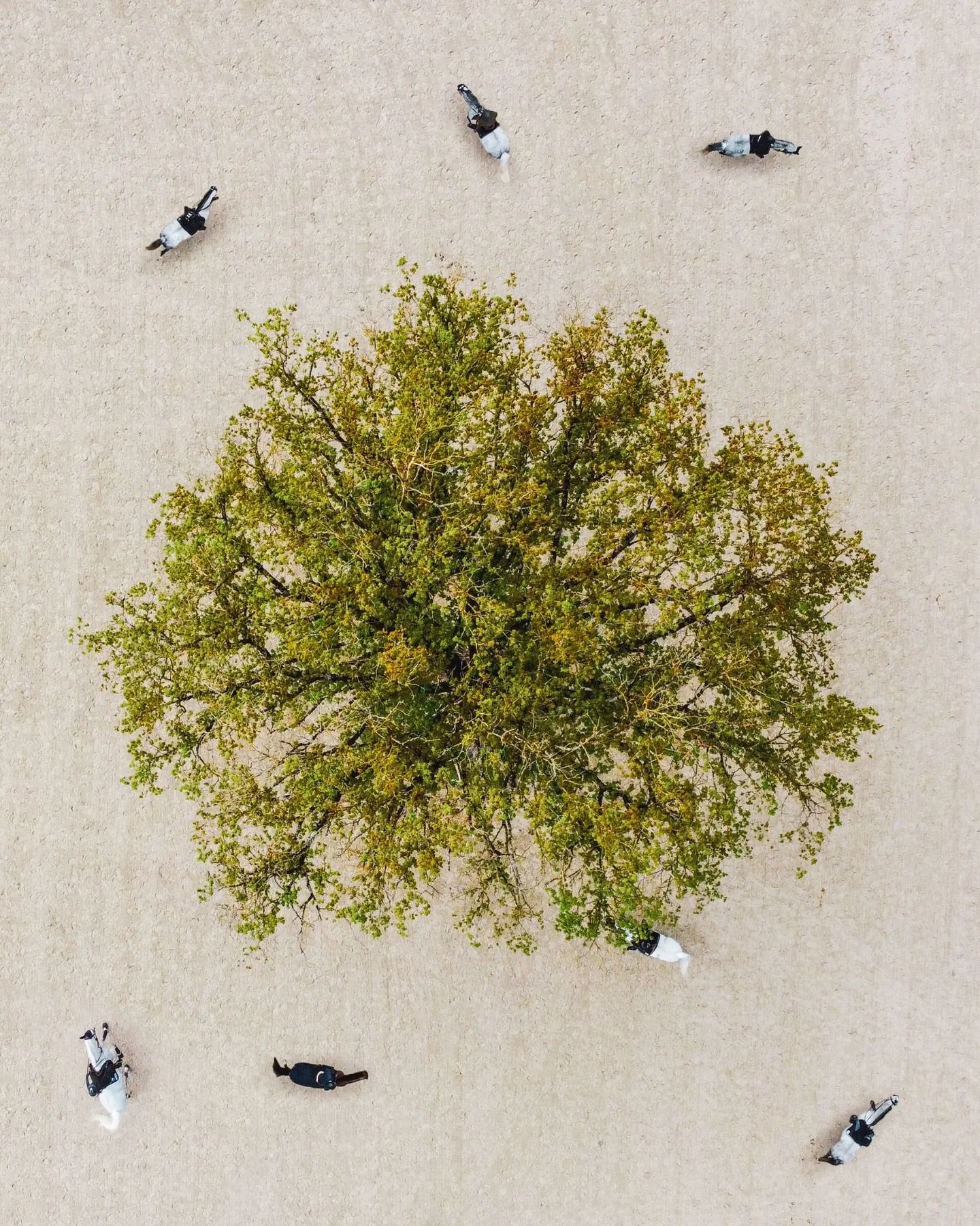 2025 asked us to listen more closely.
To the data, to the shifts in behaviour, and to what audiences were really responding to - not just what the algorithms rewarded.

It was a year of growth, but also of refinement.
Of testing trends, questioning a