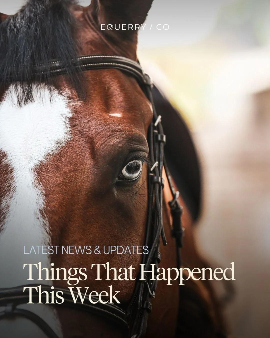 Things that happened this week:

🏇Diane Crump, the first woman to ride in the Kentucky Derby, has died at 77. 

🔥 World No. 1 Kent Farrington begins 2026 with a win at the WEC Ocala.

🇧🇪 Gilles Thomas won the Longines FEI Jumping World Cup&trade;