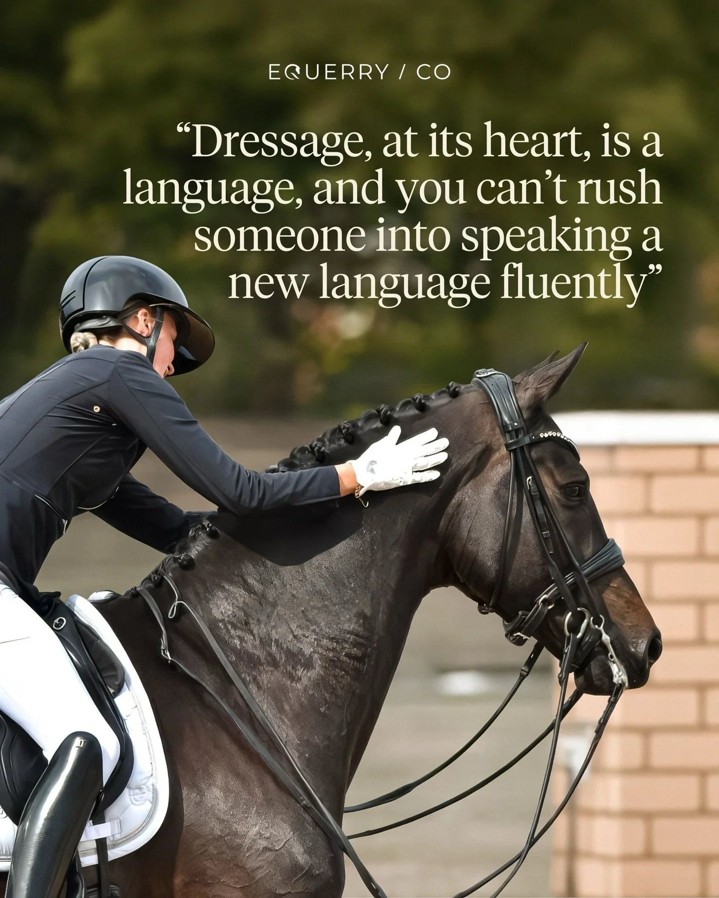 What does the route to top-level sport look like when you don&rsquo;t come from an equestrian family?

As a rider who didn&rsquo;t come from a traditional equestrian family, @nathalie_wahlund knows exactly what this path looks like.

Through her own 