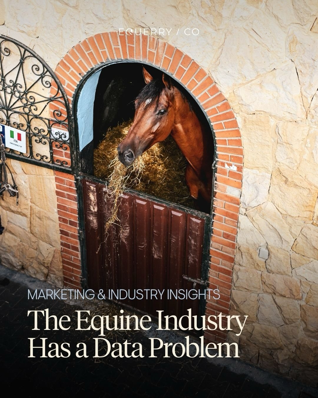 The equestrian industry is rich in expertise, tradition, and lived experience.

That foundation has shaped the sport for generations and remains one of its greatest strengths.

However, as the commercial and public landscape around sport continues to