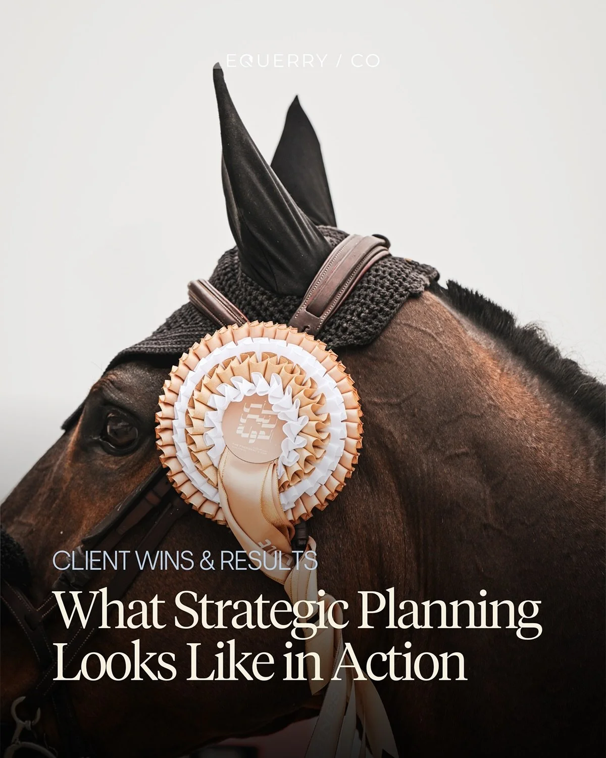 Successful marketing is rarely accidental.

It&rsquo;s the product of strategy development, clear objectives, and an understanding of how each decision contributes to long-term growth. 

Across our clients, whether strengthening social strategies or 