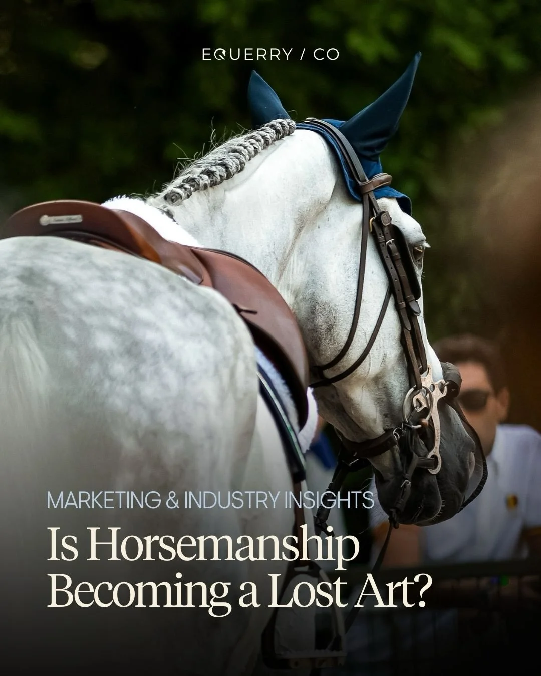 Showjumping is experiencing significant global growth, whereas dressage remains comparatively modest.

What might this shift in participation say about the culture of our sport?

Some have speculated that young riders may be gravitating toward showju