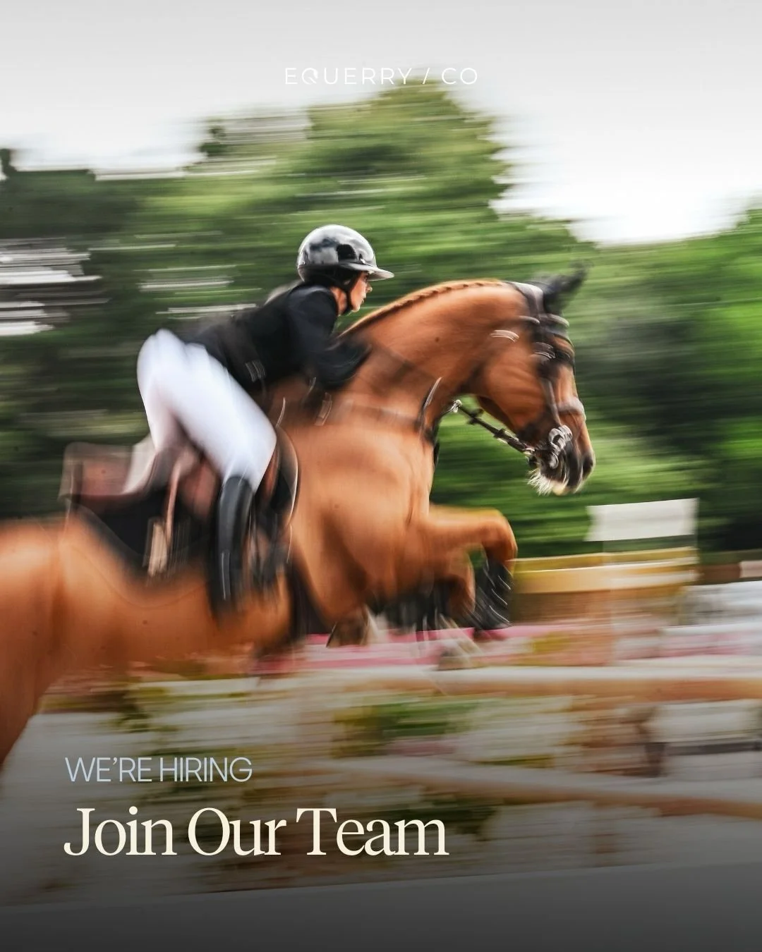 We are looking for someone with proven experience creating content for brands or organisations, who can confidently contribute from day one within a fast-paced and collaborative environment.

Head to our link in bio for more information on how to app