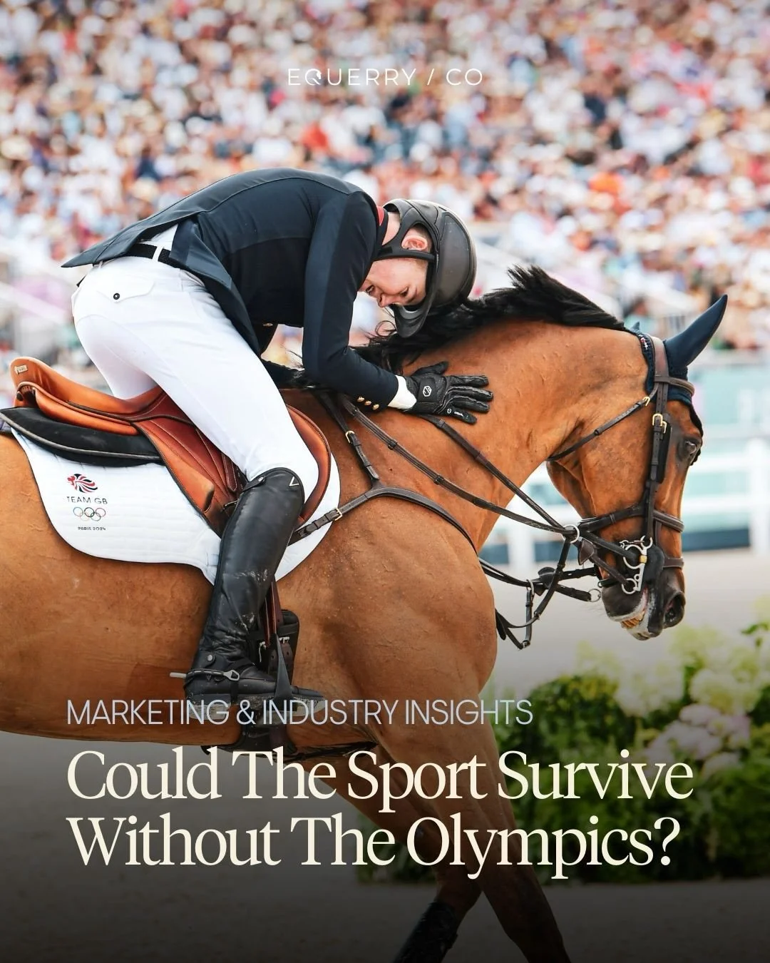 Polo&rsquo;s history shows something important:

When a sport loses its Olympic platform, it doesn&rsquo;t necessarily fail, but it can become more niche.

If showjumping, dressage and eventing sport were to lose their place in the Olympic Games, the