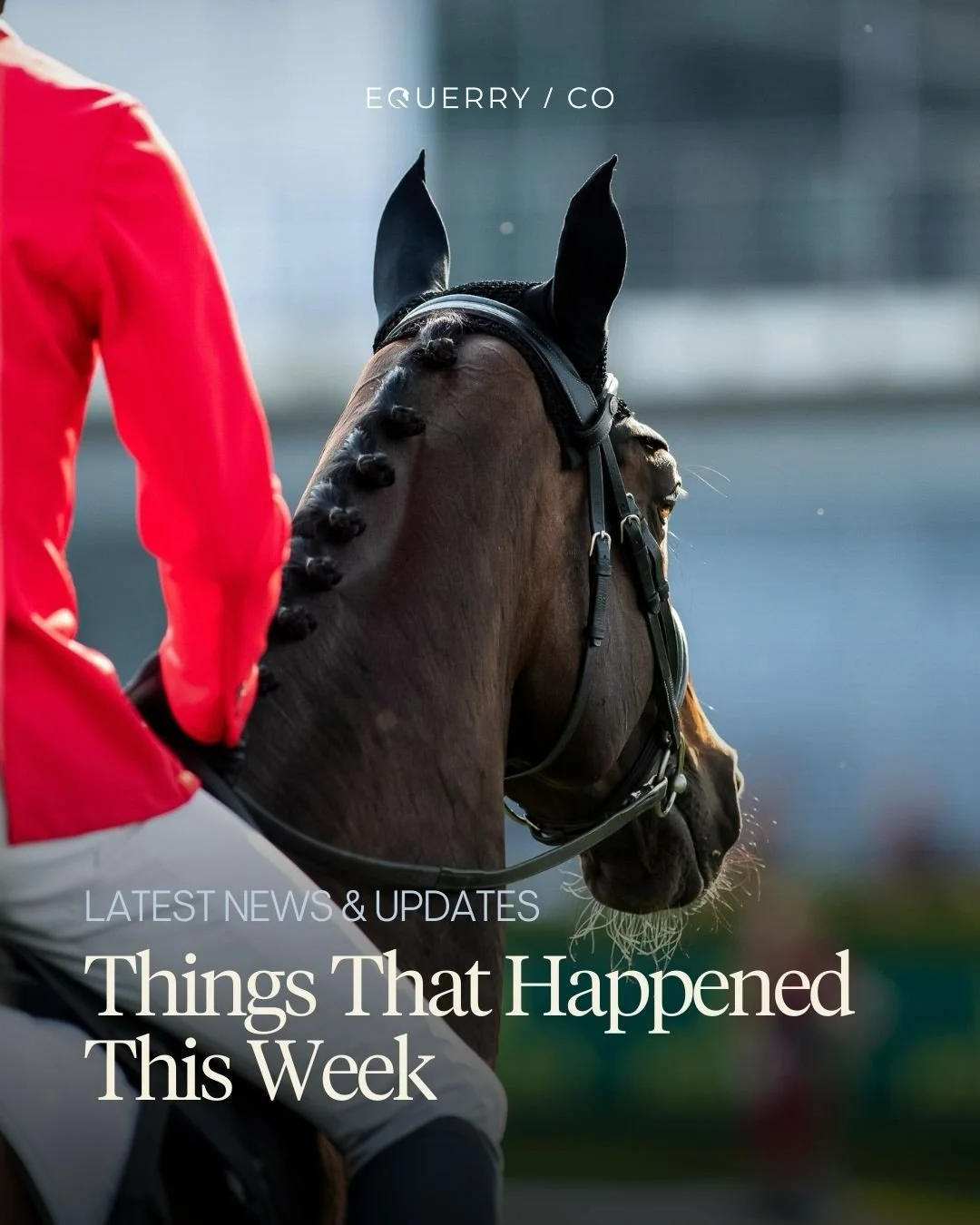 Things that happened this week:

✈️ The first group of 75 horses arrived back in Europe, after being stuck in the Middle East due to airspace closures.

💼 EU policymakers discussed greater recognition of the equine sector within EU agricultural poli