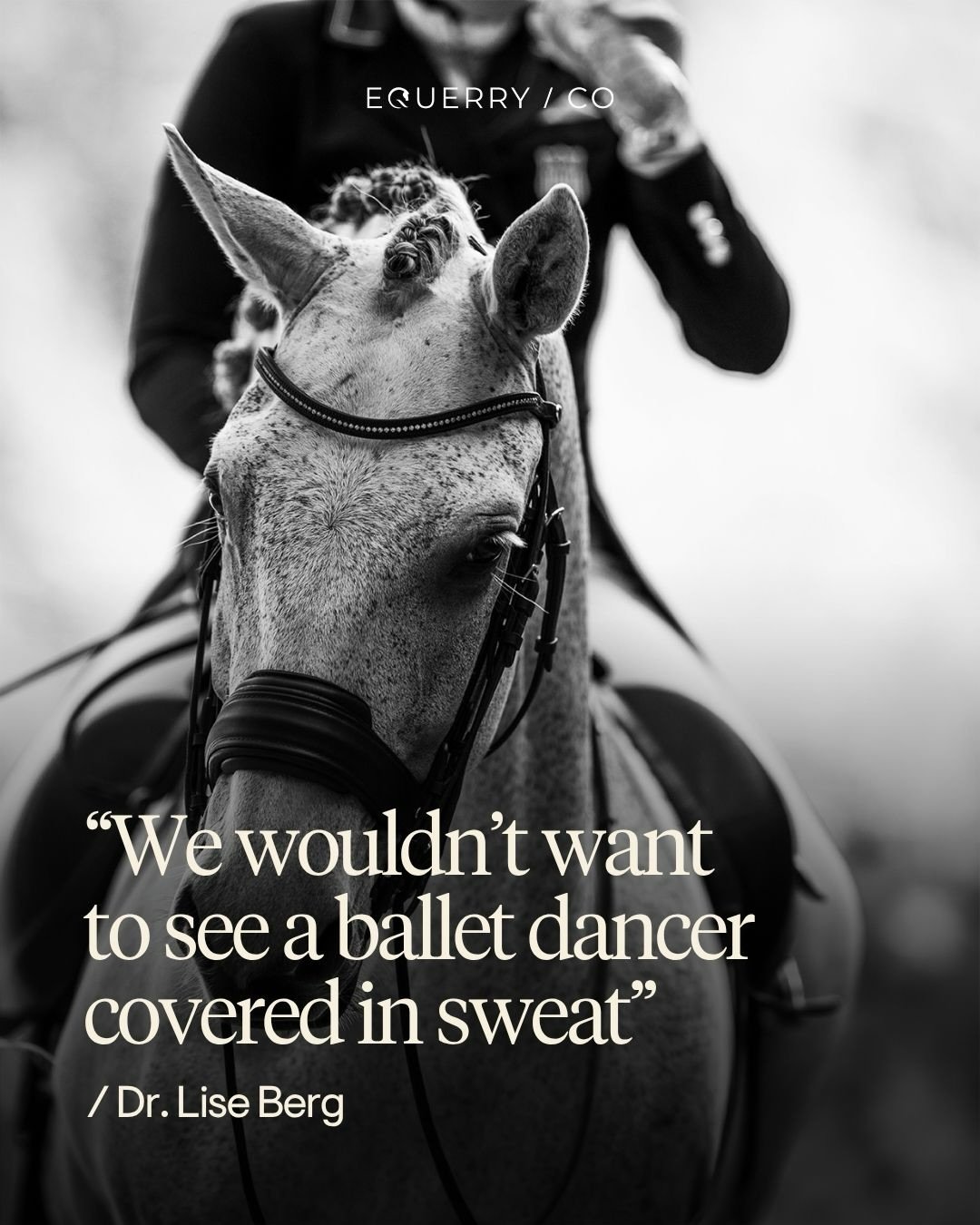 Discussions at last year&rsquo;s FEI Sports Forum raised important questions about the direction of dressage.

Dr. Lise Berg also emphasised: &ldquo;It&rsquo;s super important we don&rsquo;t shy away from the discussion. We need to face it head on, n