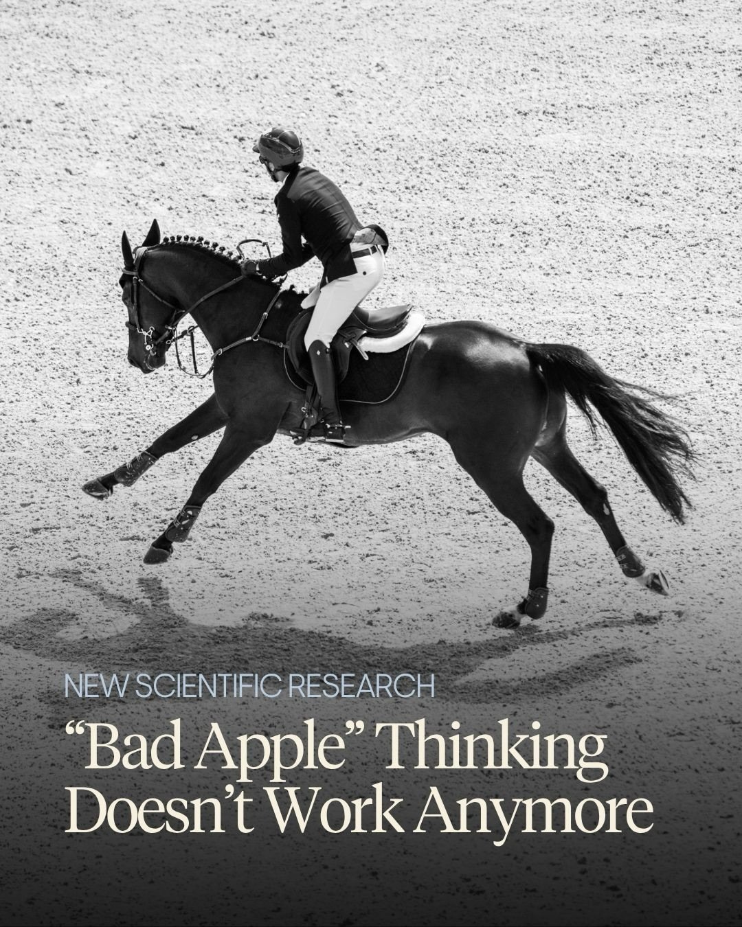 Our research into the interpretation of equestrian images from the Paris 2024 Olympic Games was recently published in the peer-reviewed Journal of Physical Fitness, Medicine &amp; Treatment in Sports.

Having captured 4,774 images across both competi